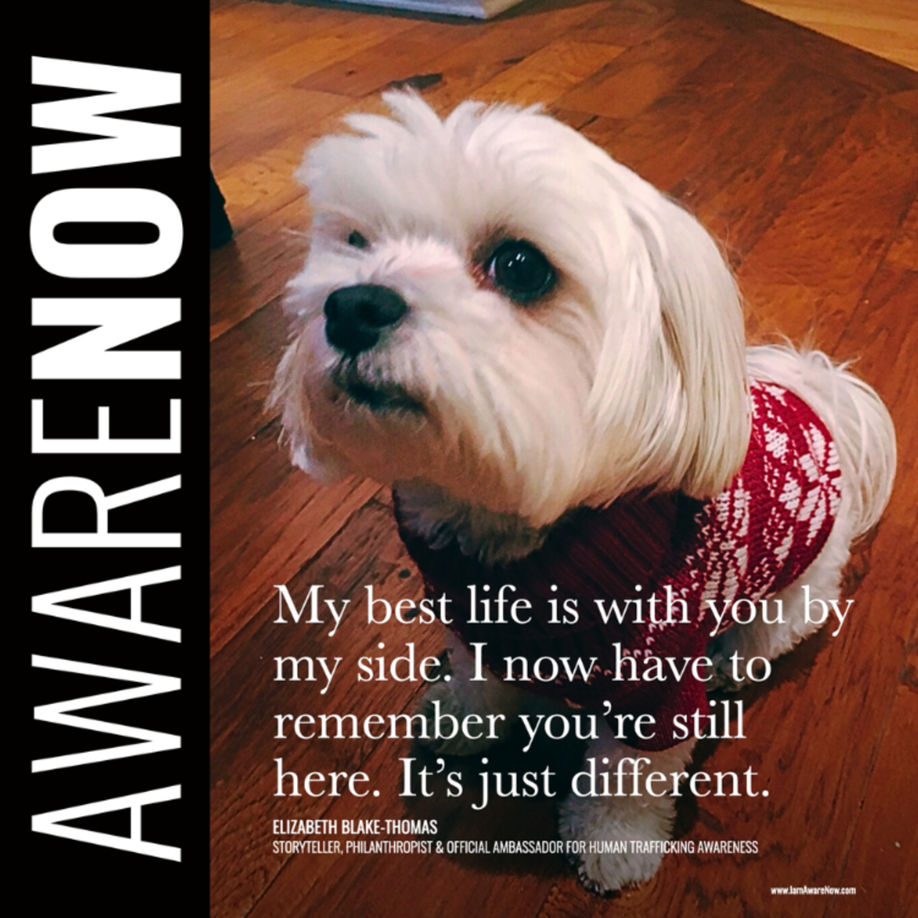 AwareNow™: The Official Podcast for Causes