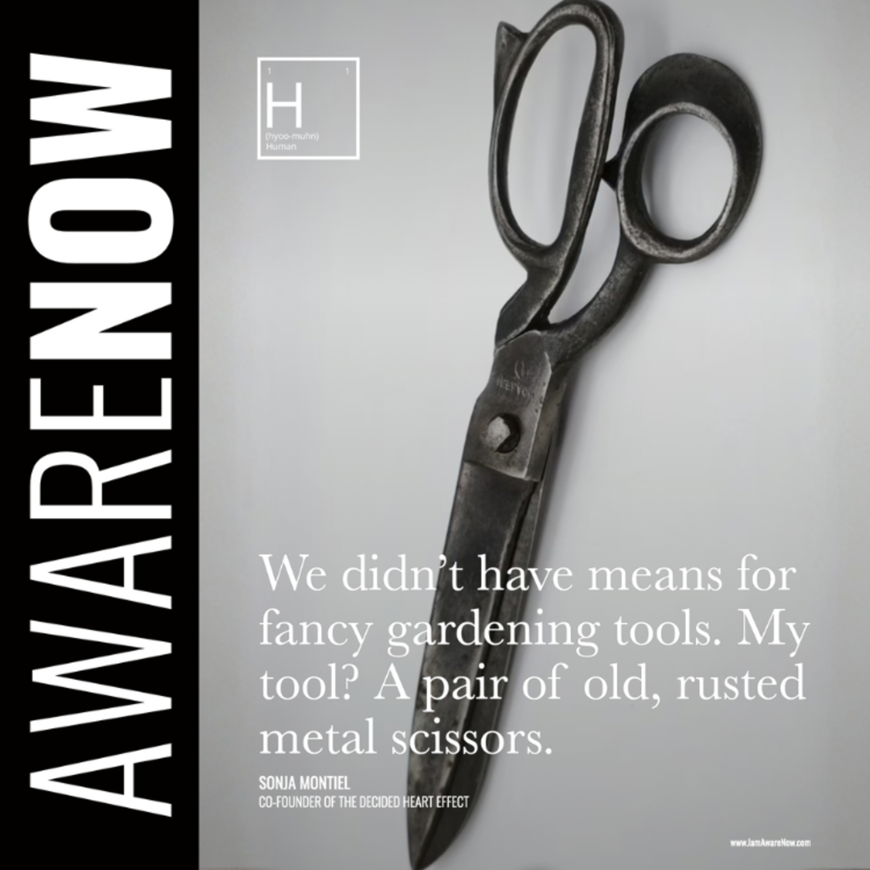 AwareNow™: The Official Podcast for Causes