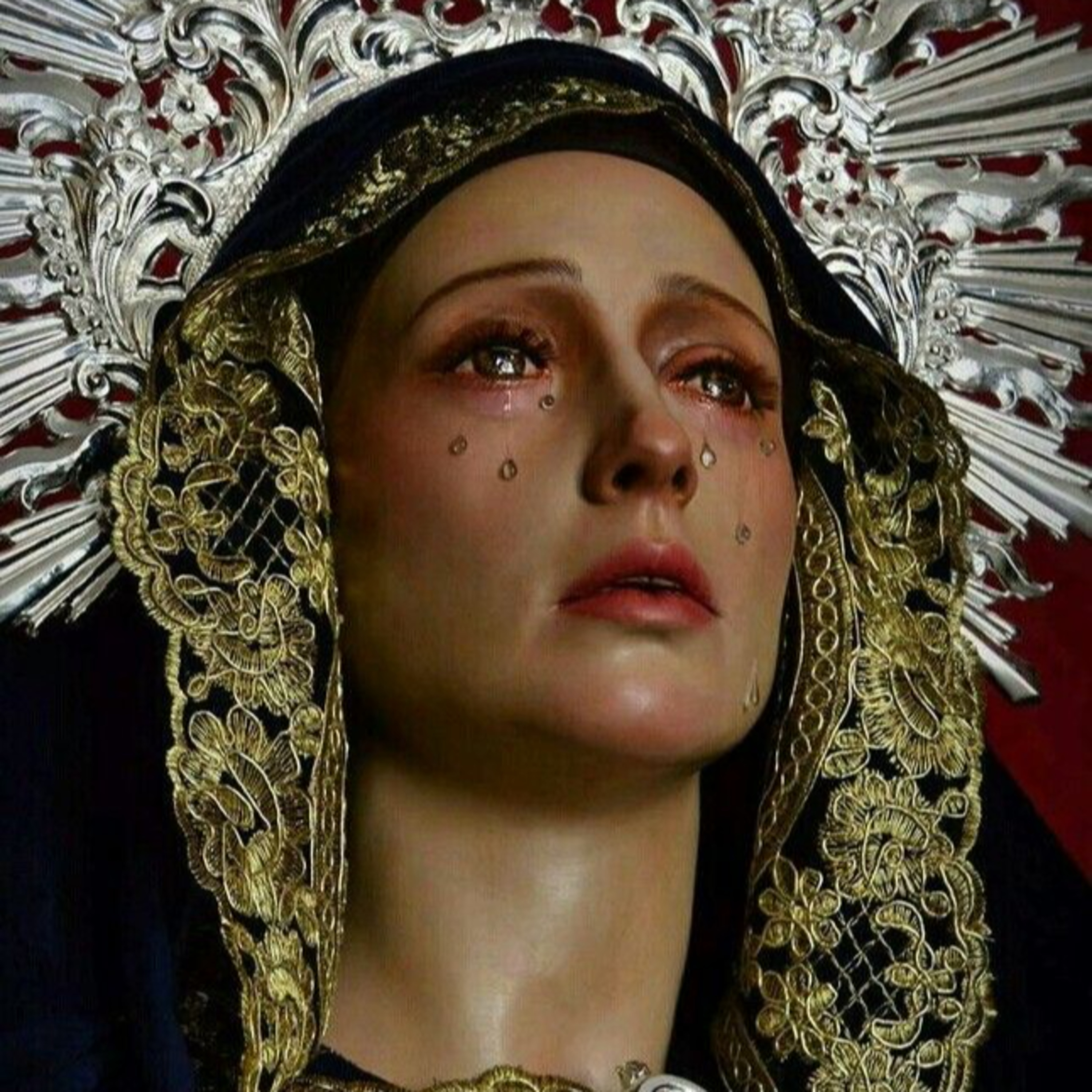 Mater Dolorosa causa de nuestra alegría | 143