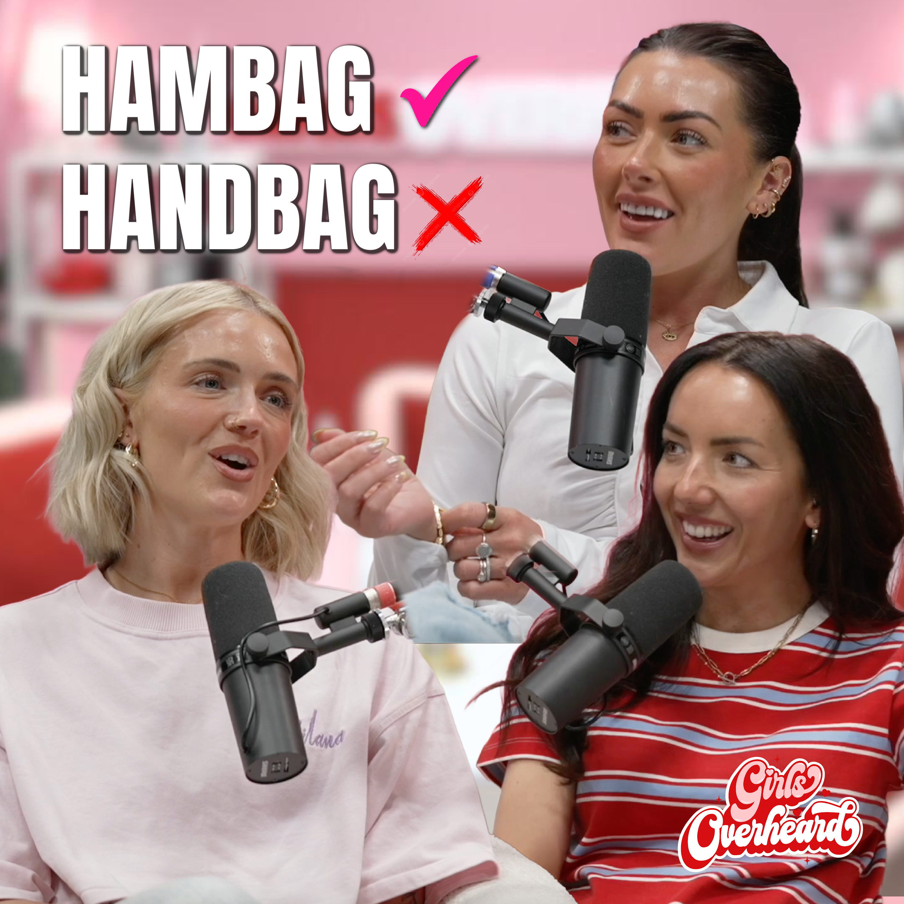 DO YOU SAY 'HAMBAG' OR 'HANDBAG?'