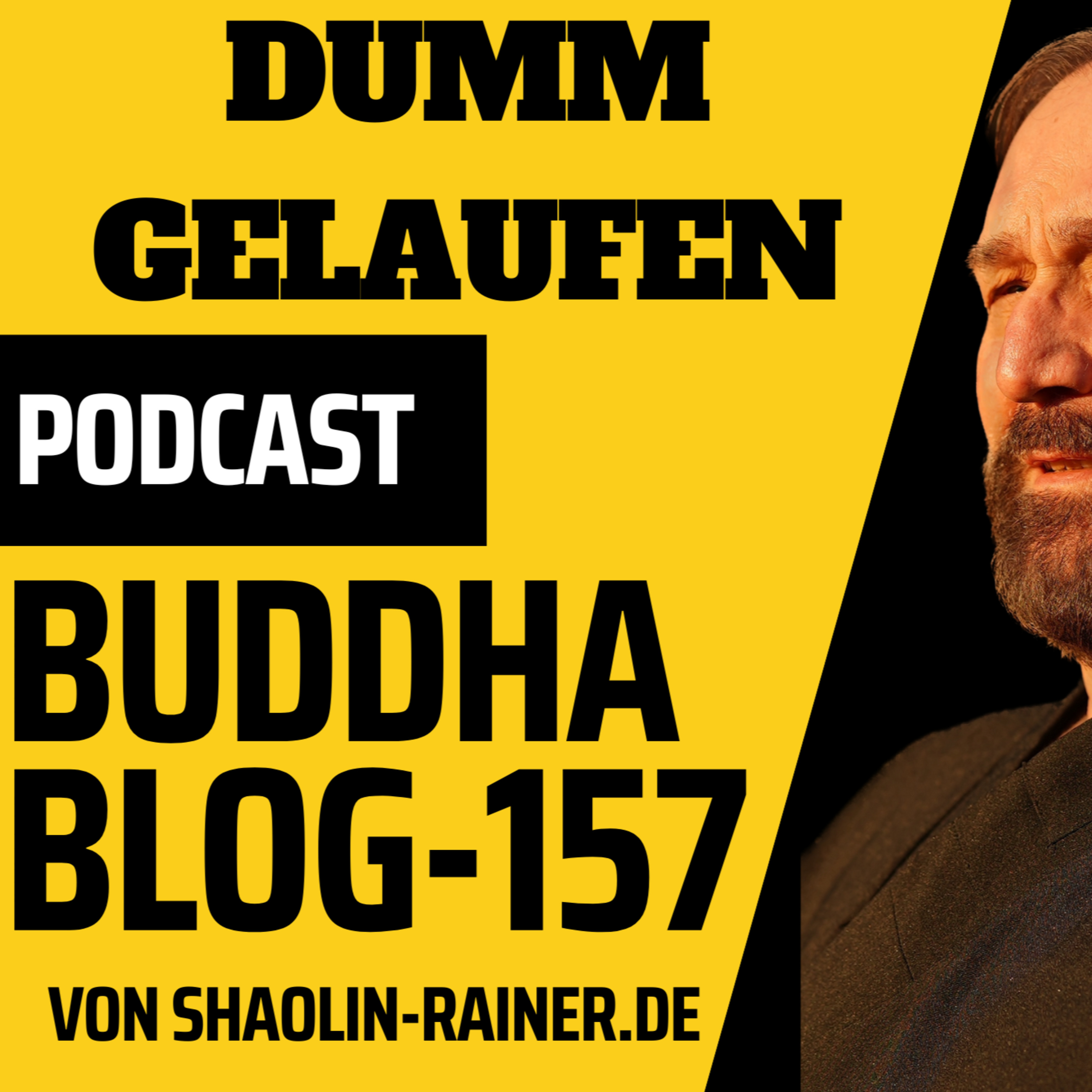 Der grosse Podcast 157-Dumm gelaufen - Buddha-Blog-Podcast-Buddhismus im Alltag episode artwork