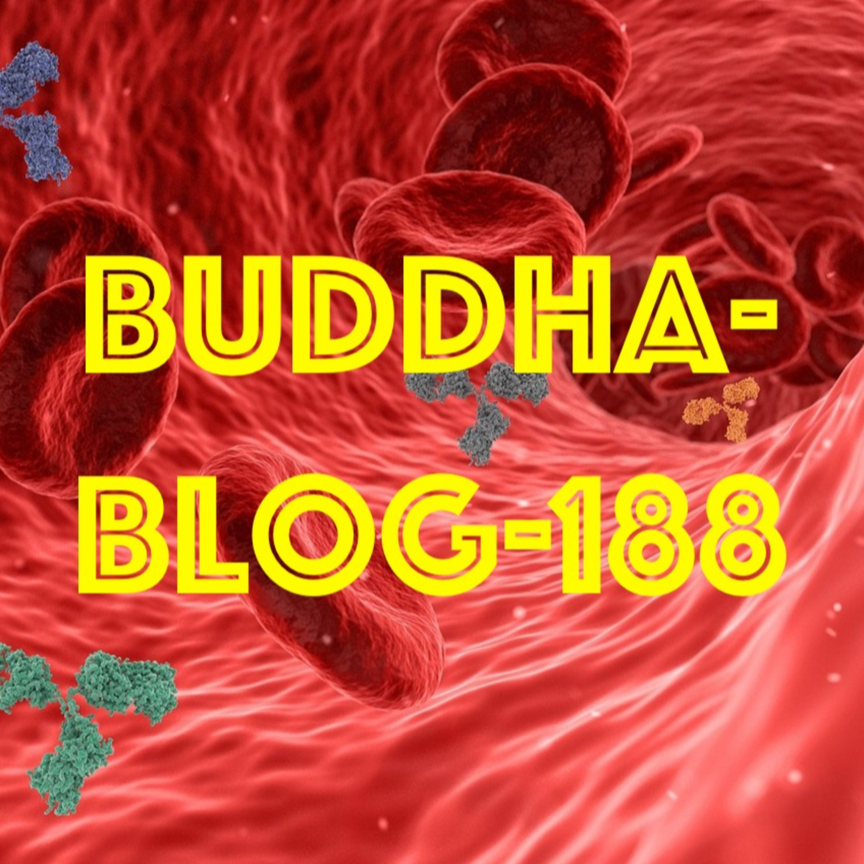 188-Blut und Meerwasser - Buddhismus im Alltag episode artwork