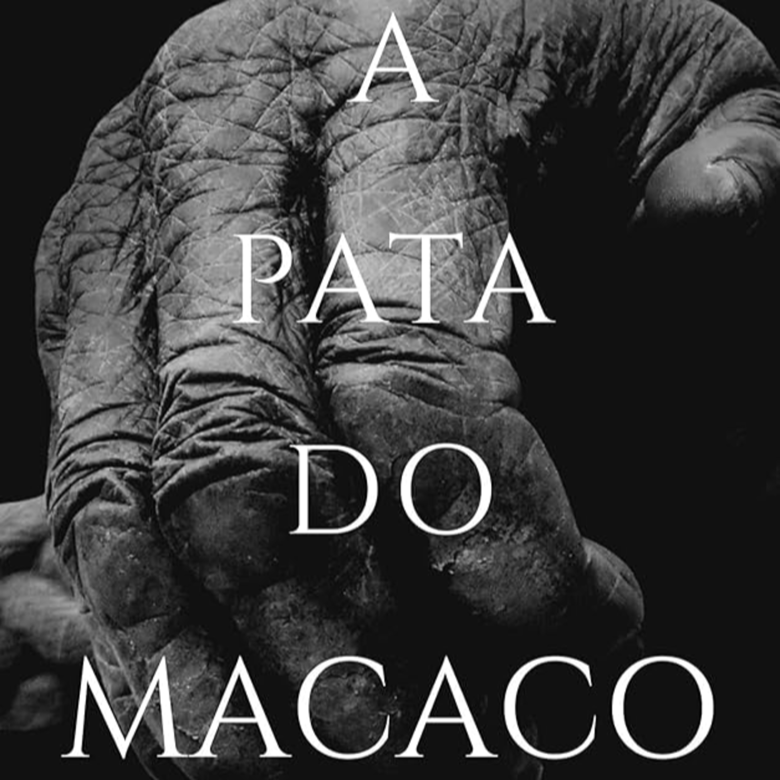 Lih Num Livro