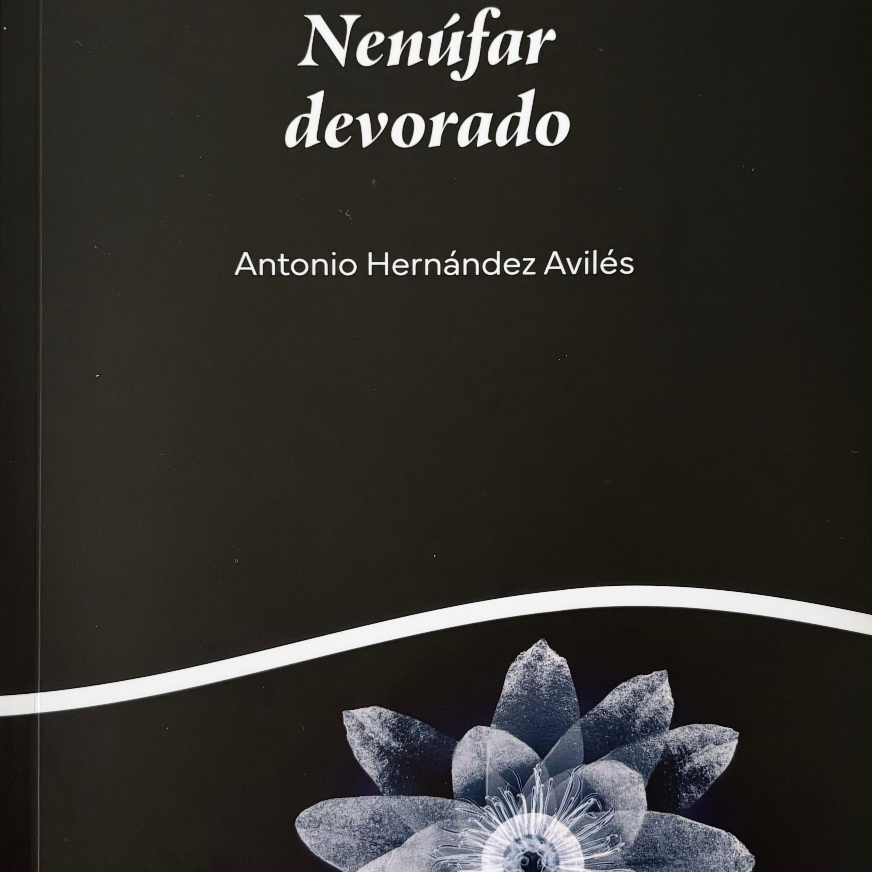 Con Antonio Hernández Aviles episode artwork