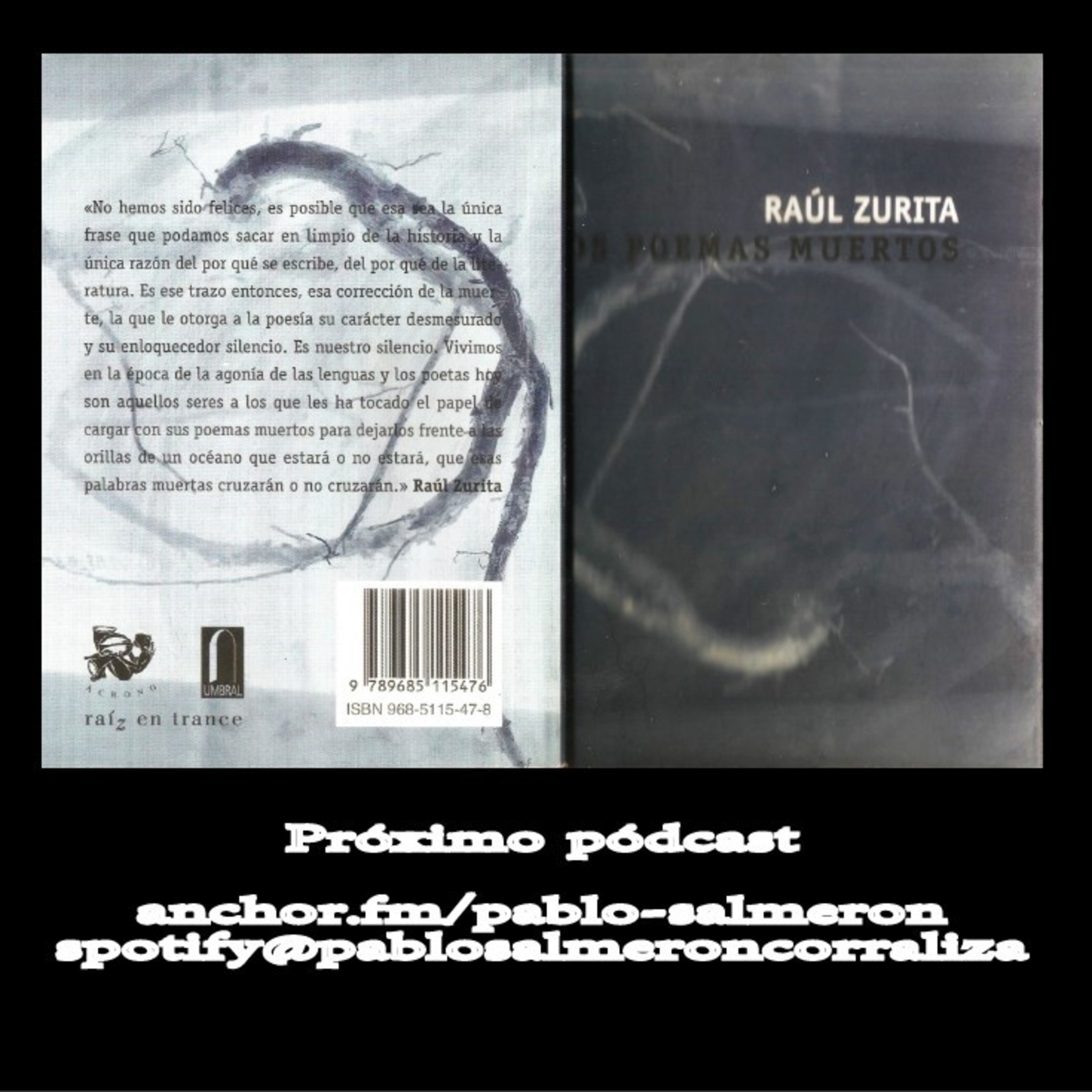 Pablo Salmerón, Pasalcor