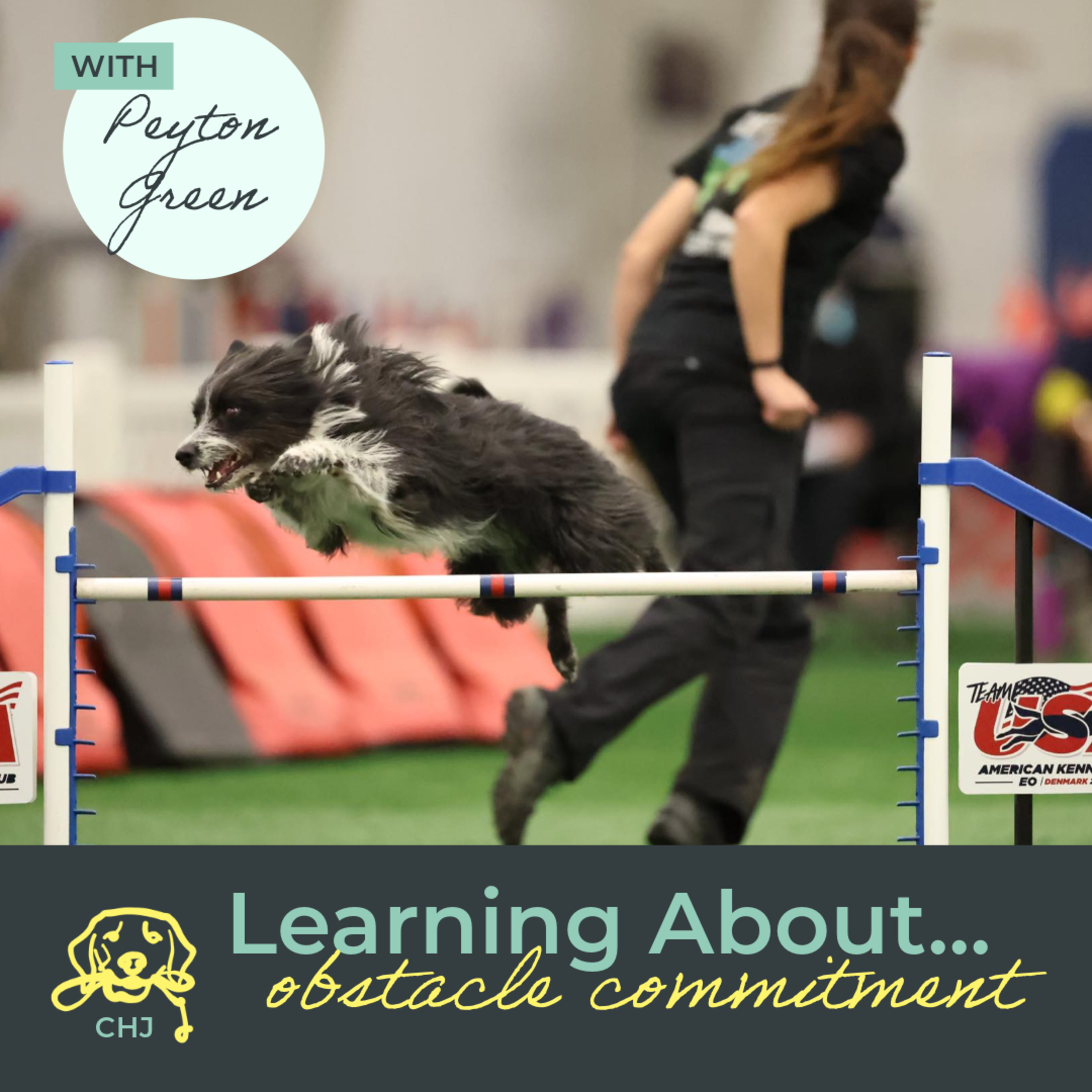 Canine High Jinks