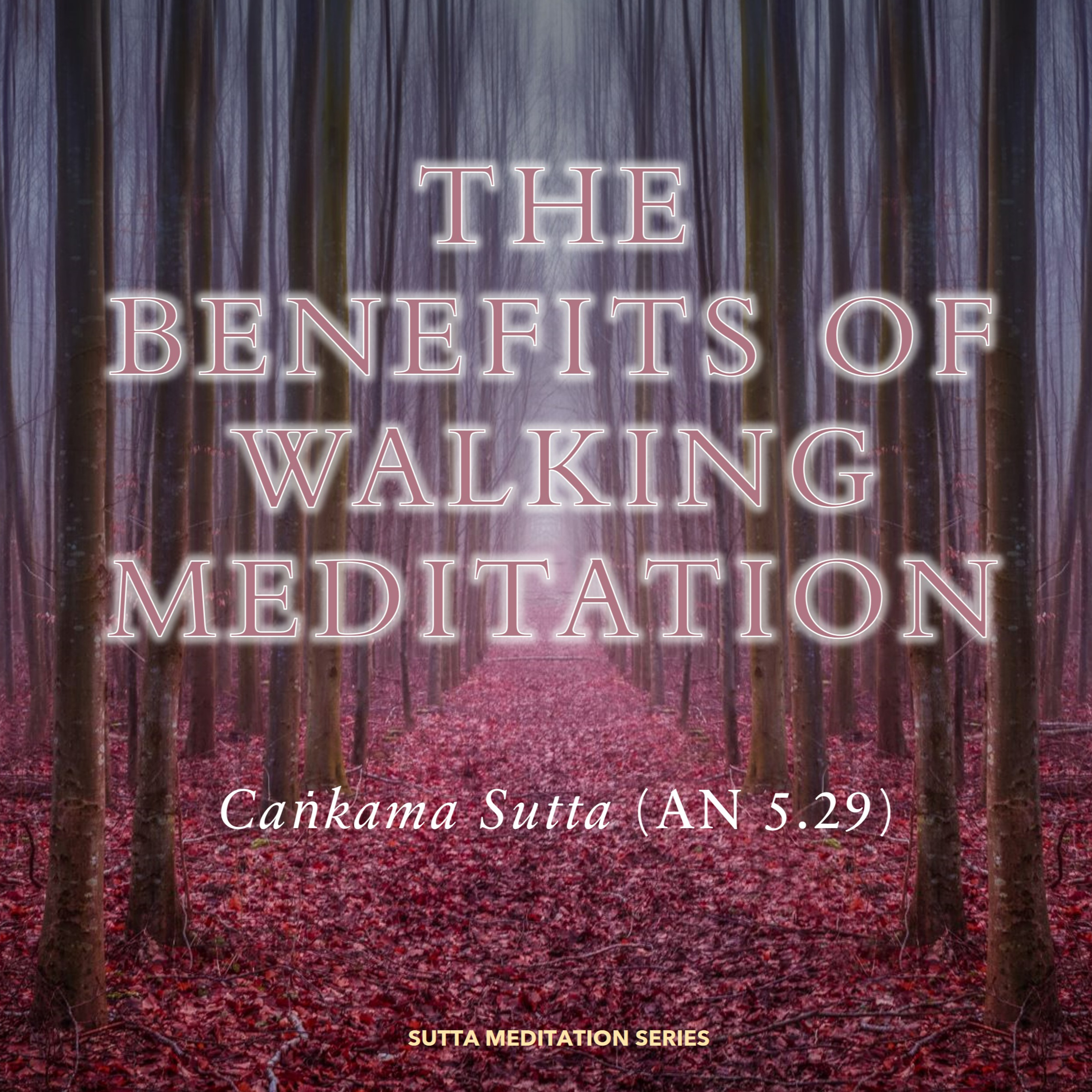 THE BENEFITS OF WALKING MEDITATION episode artwork