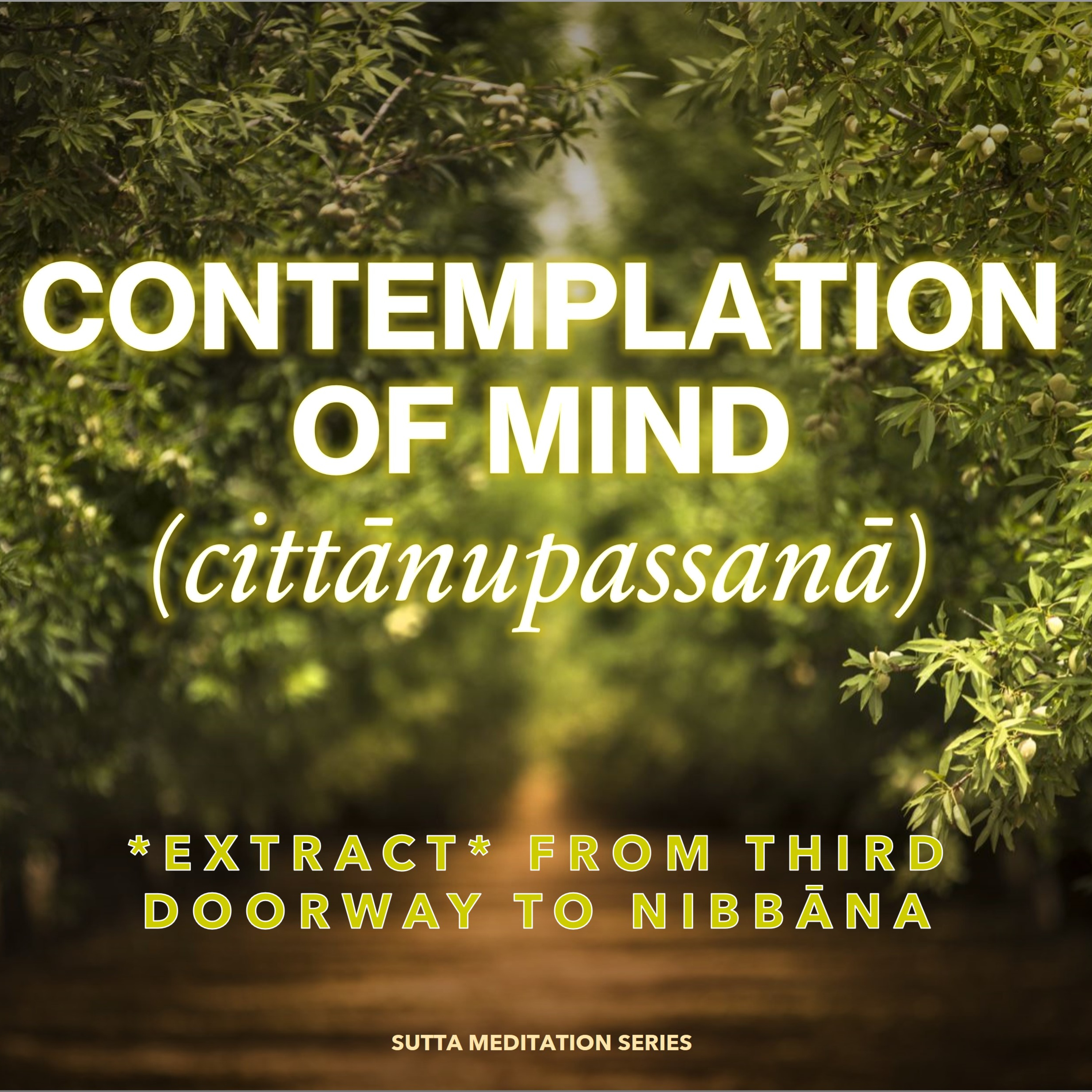 *EXTRACT* from The Third doorway to Nibbana — CONTEMPLATION OF MIND (cittanupassana) episode artwork