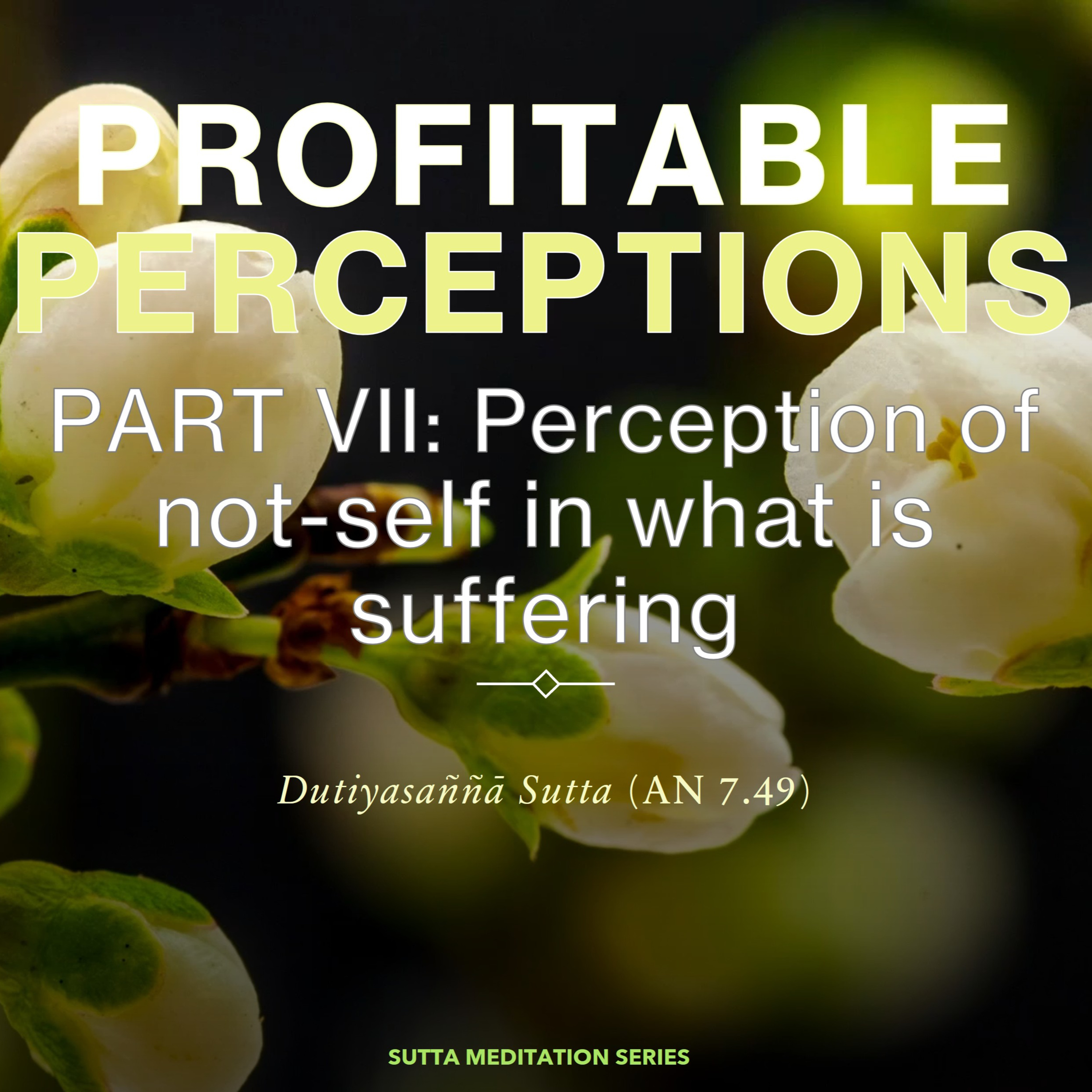 PROFITABLE PERCEPTIONS (PART VII) — Perception of not self in what is suffering episode artwork
