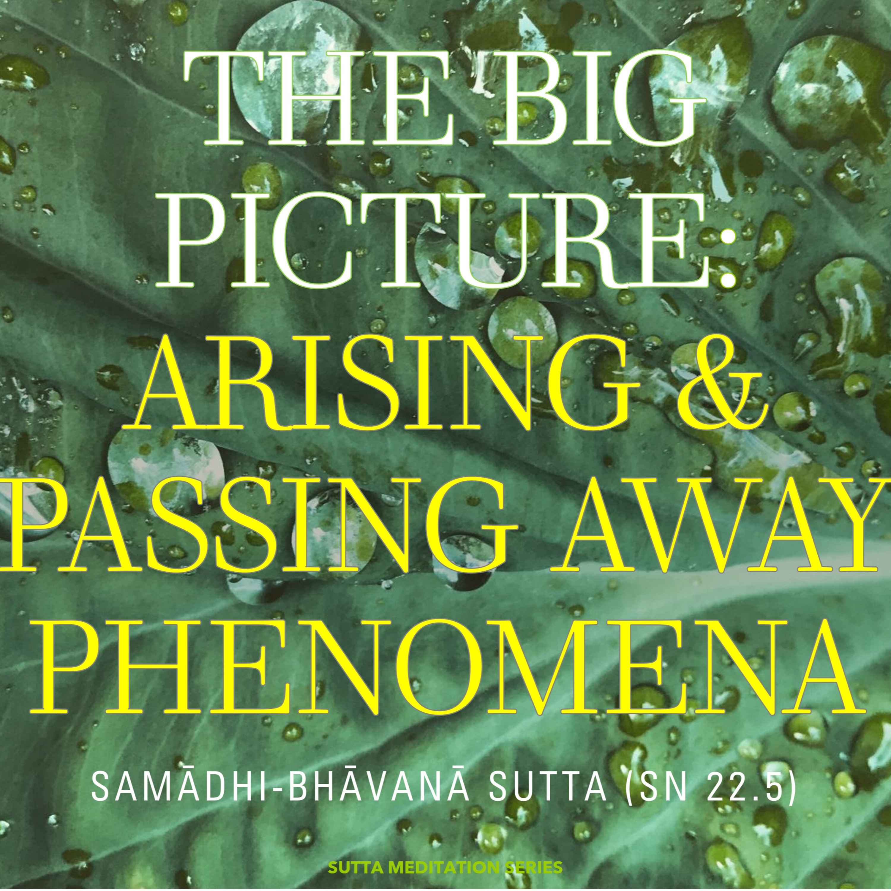 UPOSATHA — The Big Picture: arising and passing away phenomena (livestream) episode artwork