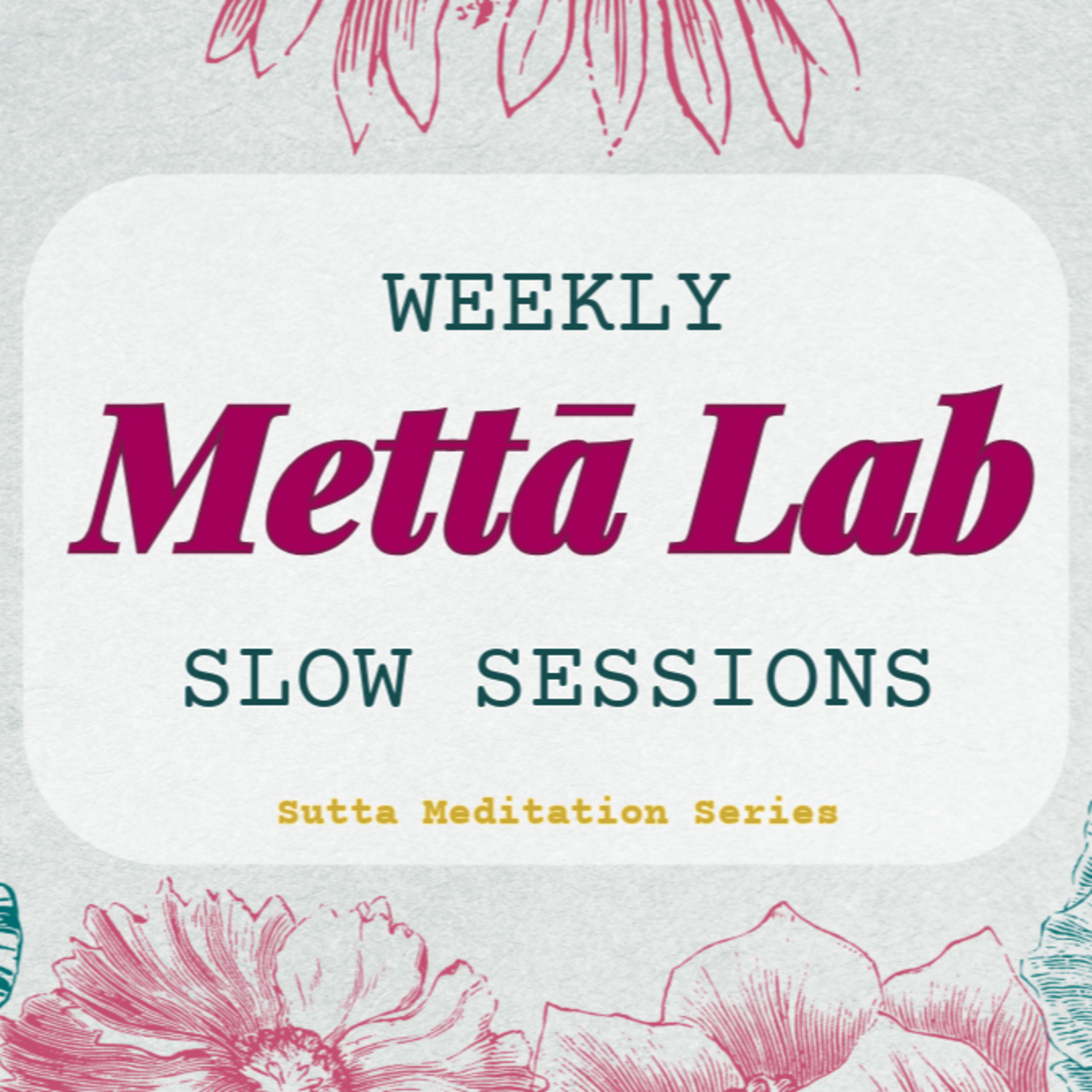 METTA LAB — Weekly Slow Session 13 — Liberation of the mind by loving kindness episode artwork