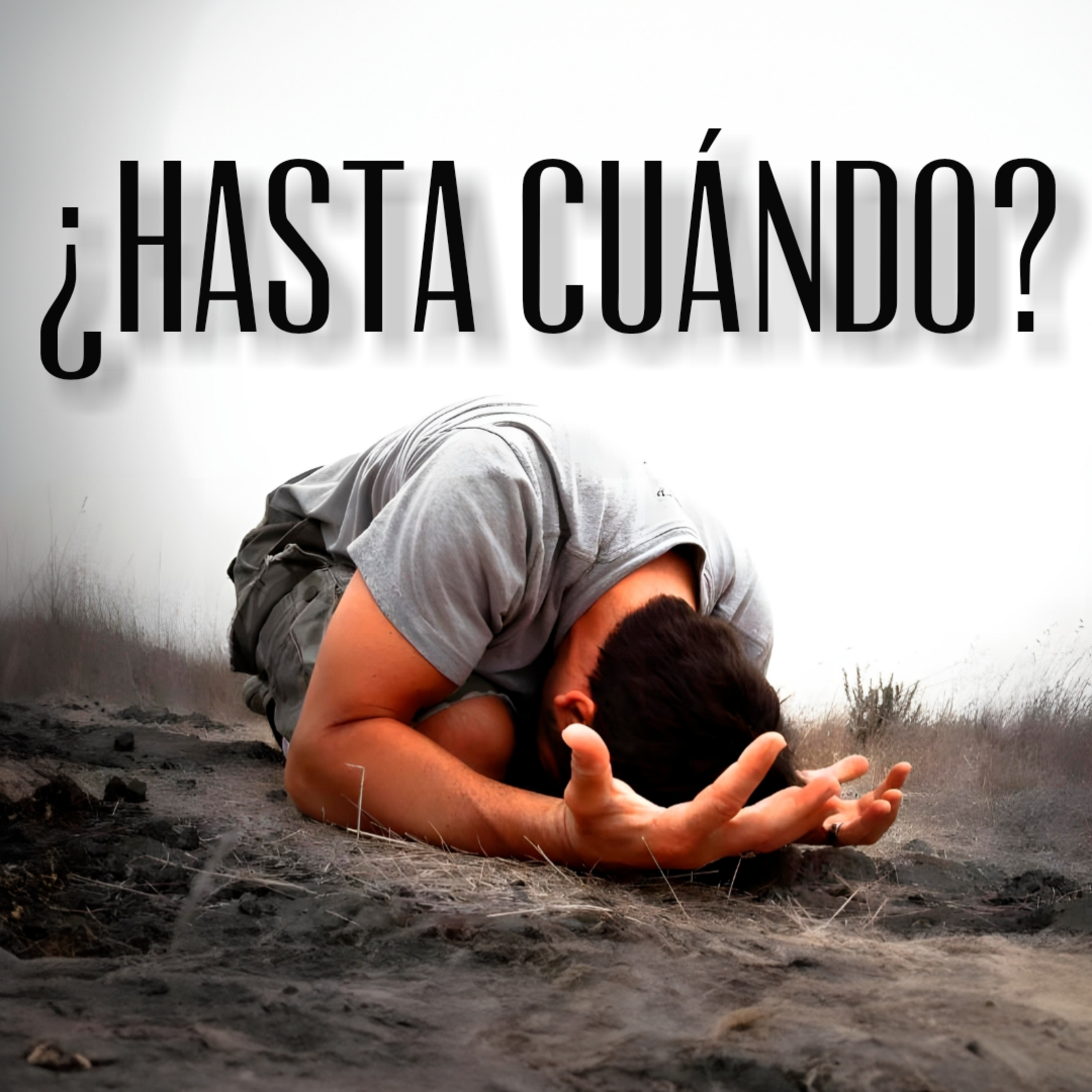 ¿Hasta cuándo? episode artwork