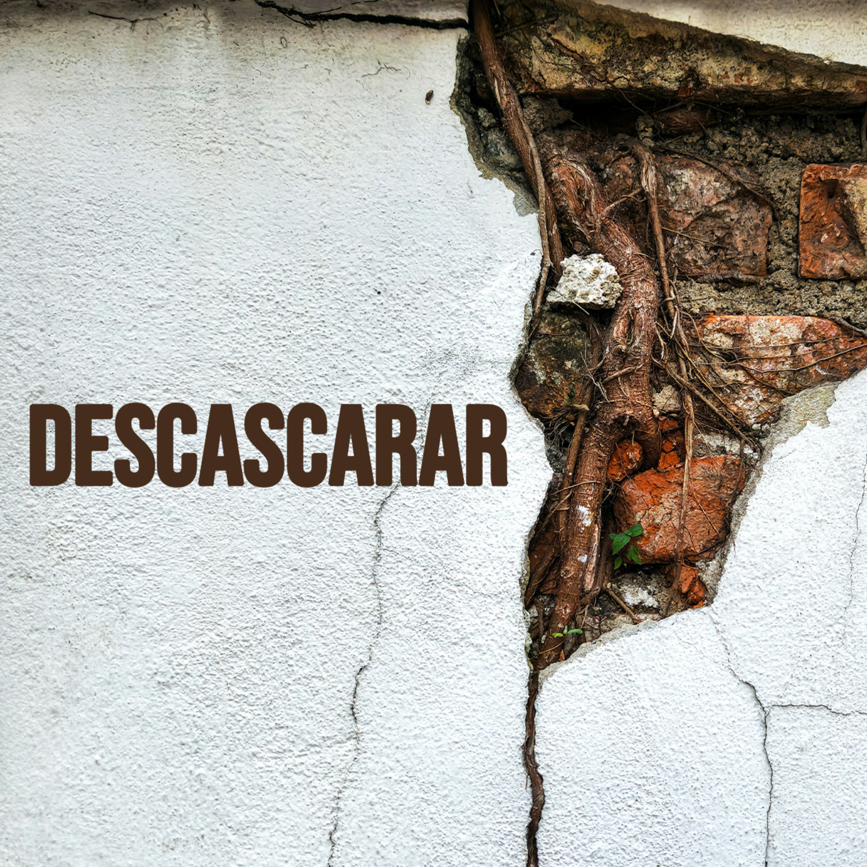 Descascarar episode artwork