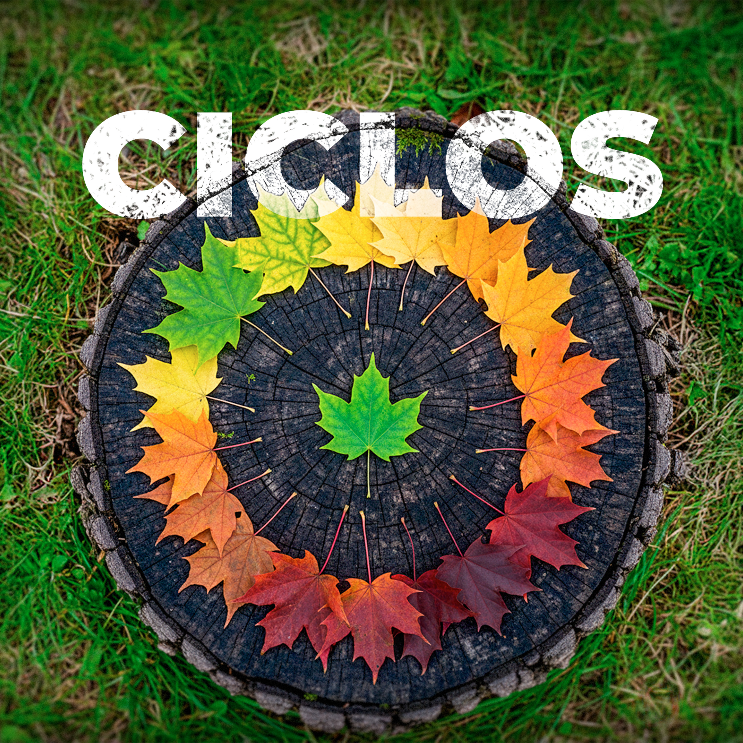 CICLOS-PARTE II episode artwork