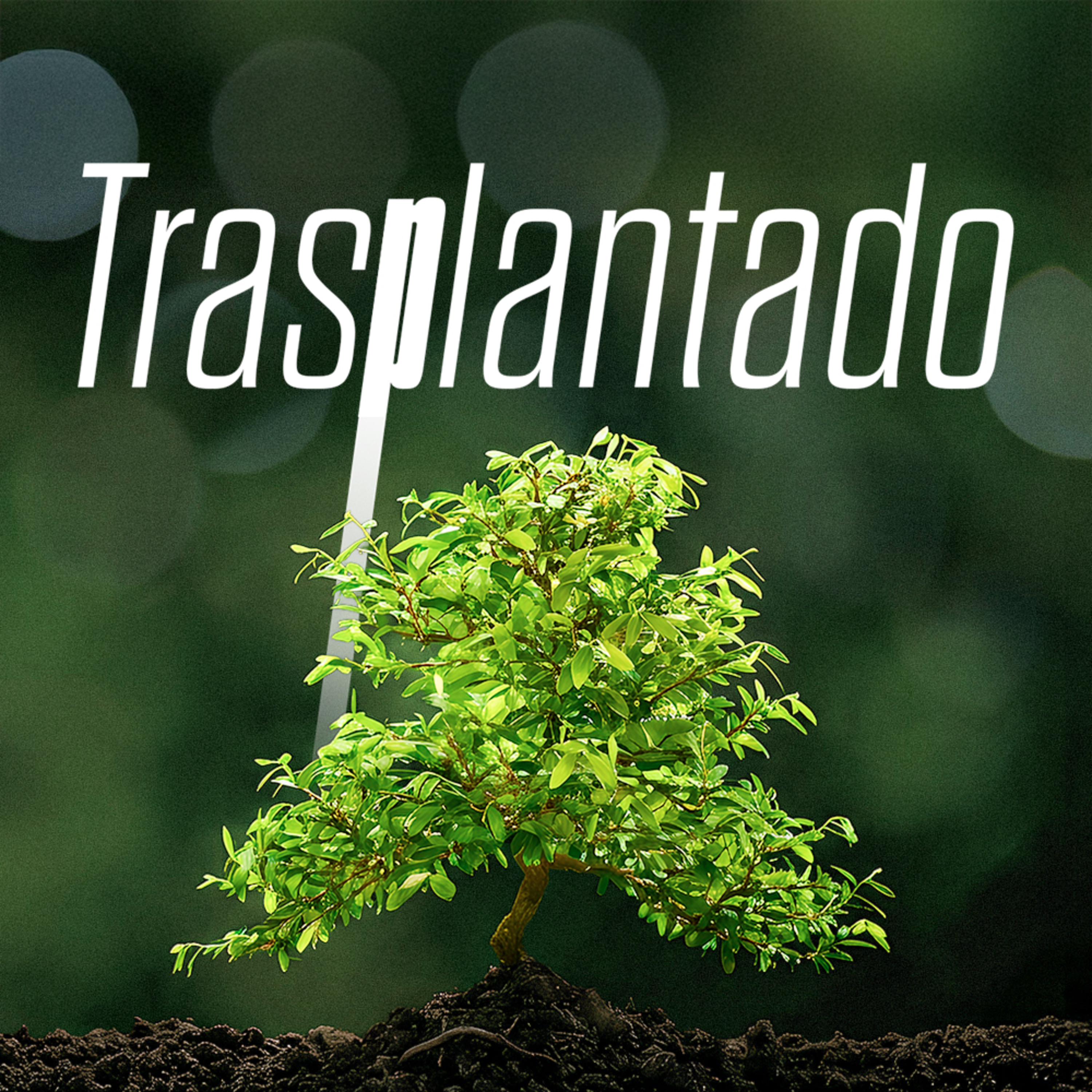 TRASPLANTADO episode artwork