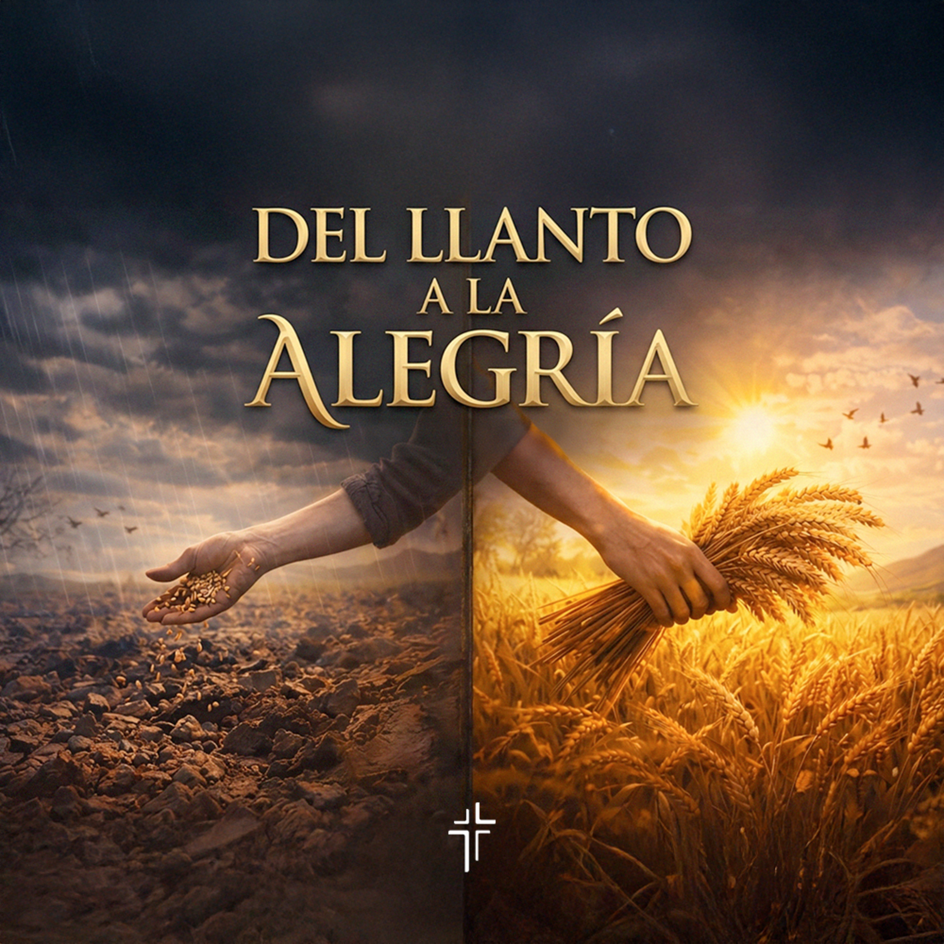 DEL LLANTO A LA ALEGRÍA  episode artwork