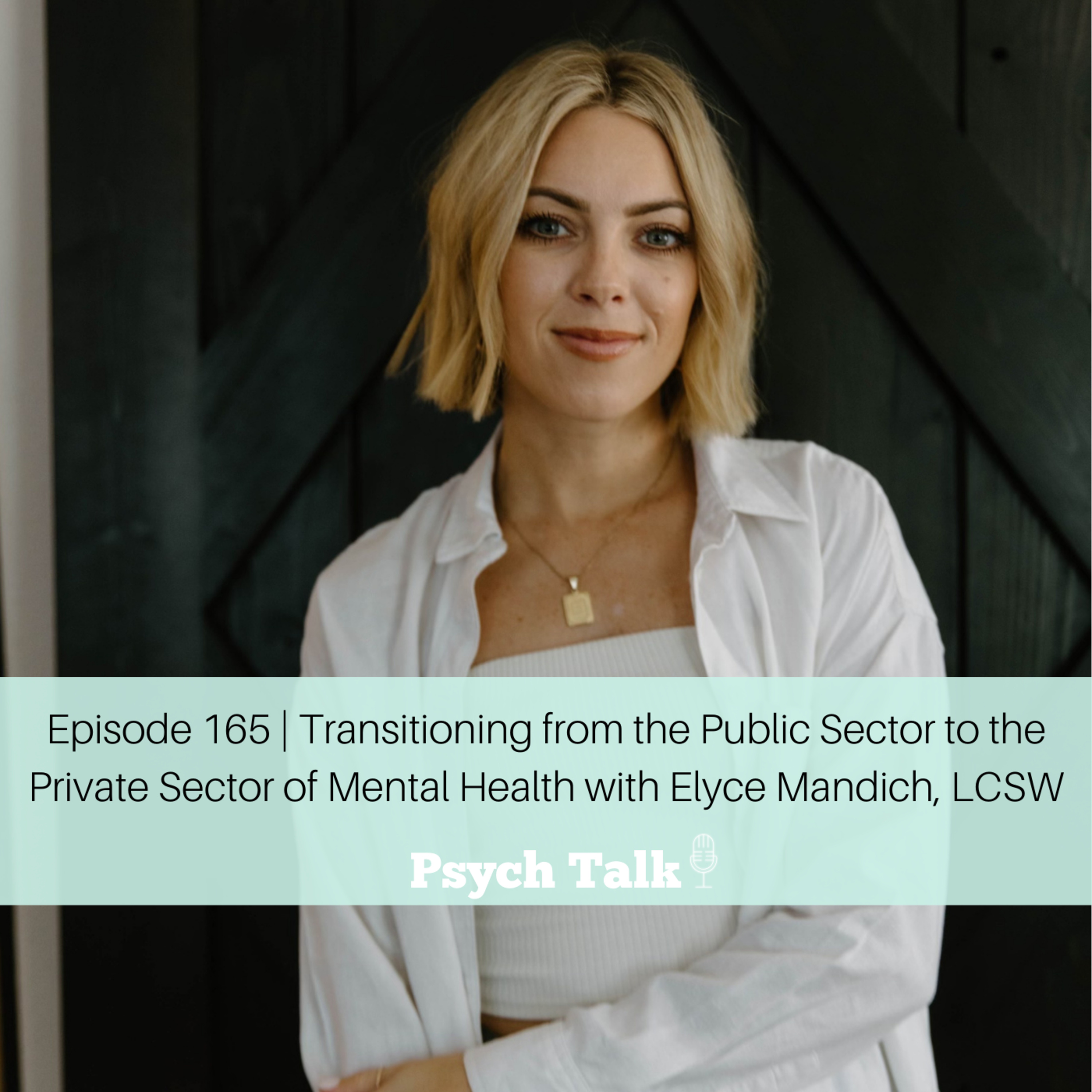 Episode 165 | Transitioning from the Public Sector to the Private Sector of Mental Health with Elyce Mandich, LCSW episode artwork