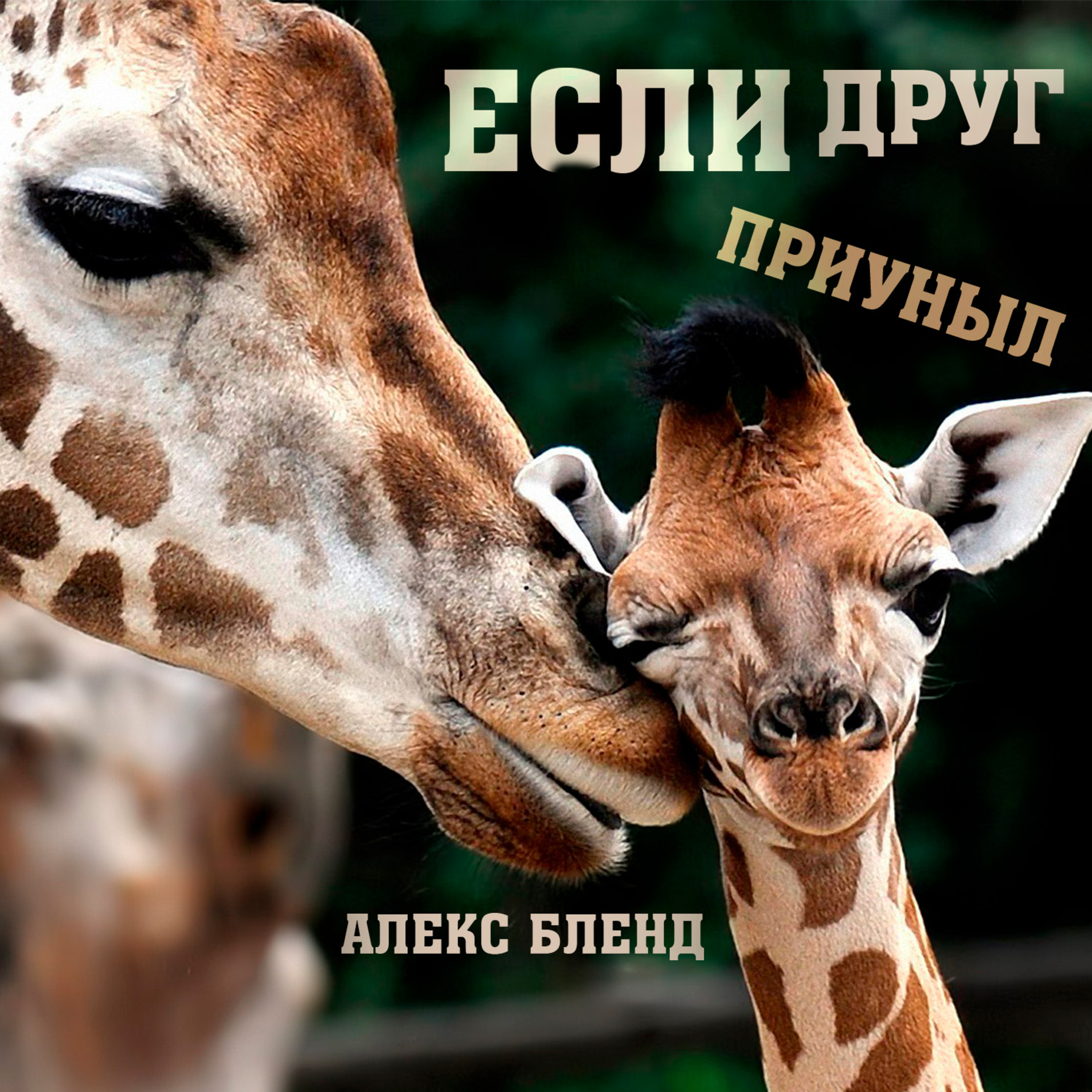 Если друг приуныл. Что можно сделать для отчаявшегося человека. episode artwork