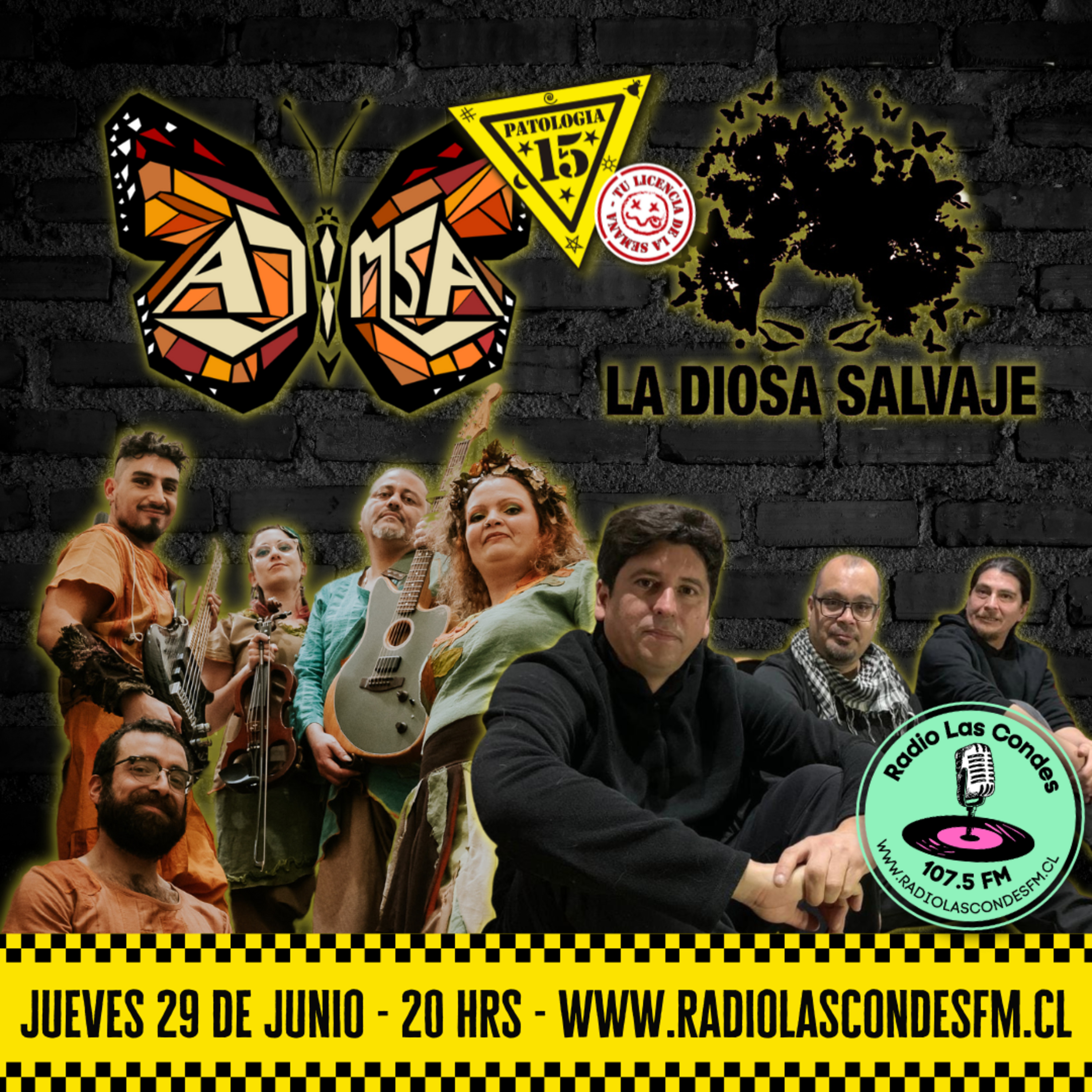 Patología 15 - Cap 207 Radio Las Condes - Ajimsa y La Diosa Salvaje episode artwork
