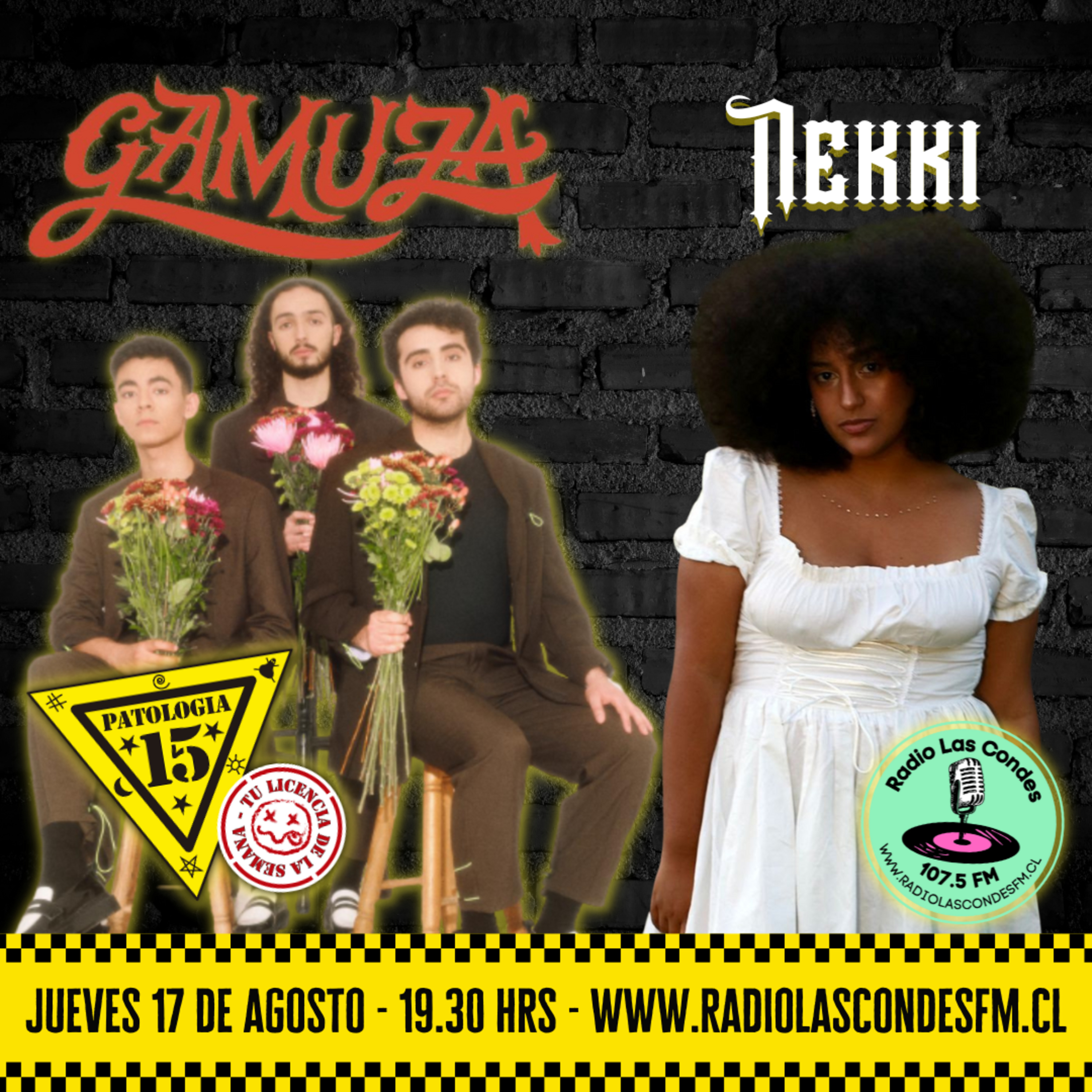 Patología 15 - Cap 214 Radio Las Condes - Gamuza y Nekki episode artwork