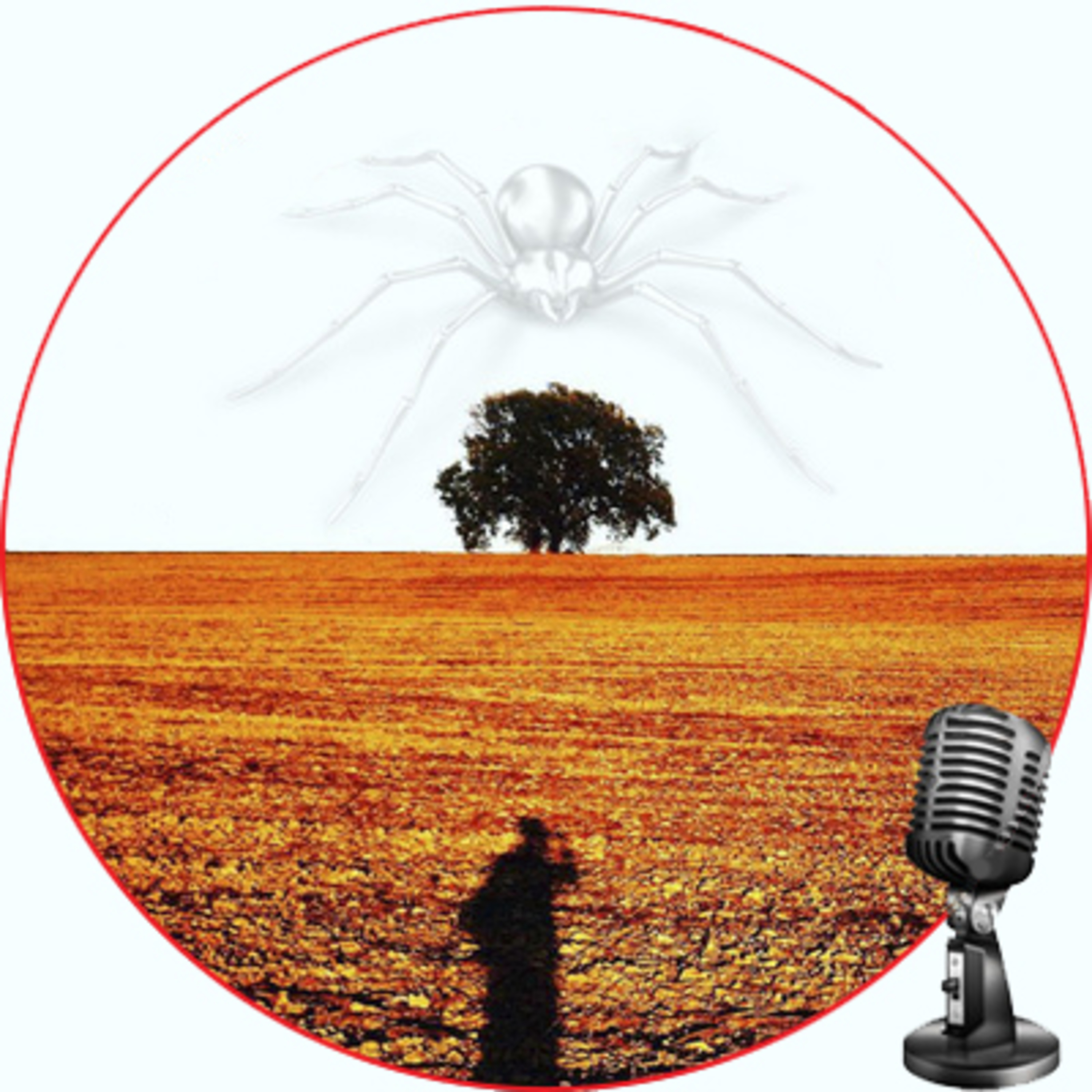 Seremailragno Podcast