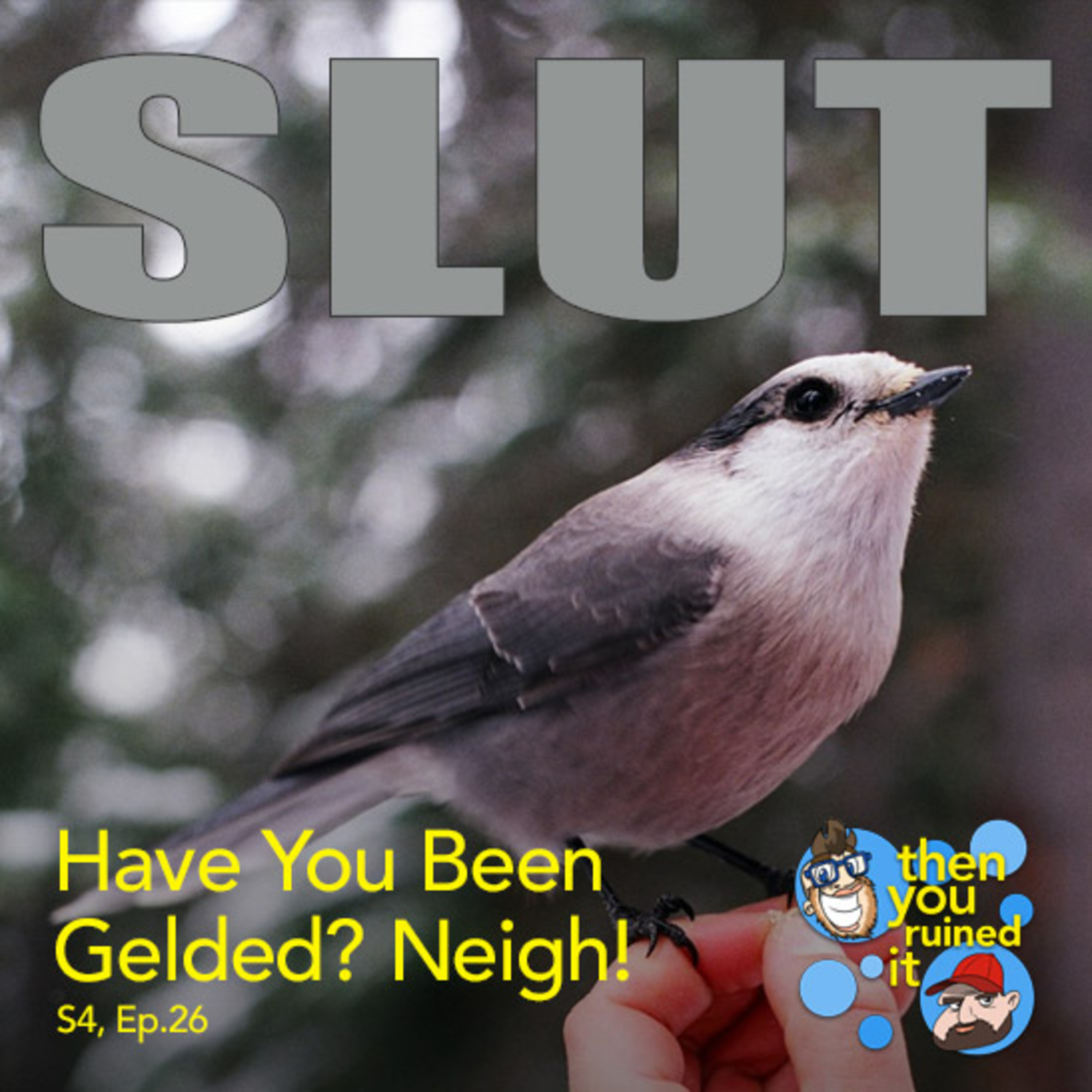 Have You Been Gelded? Neigh! episode artwork