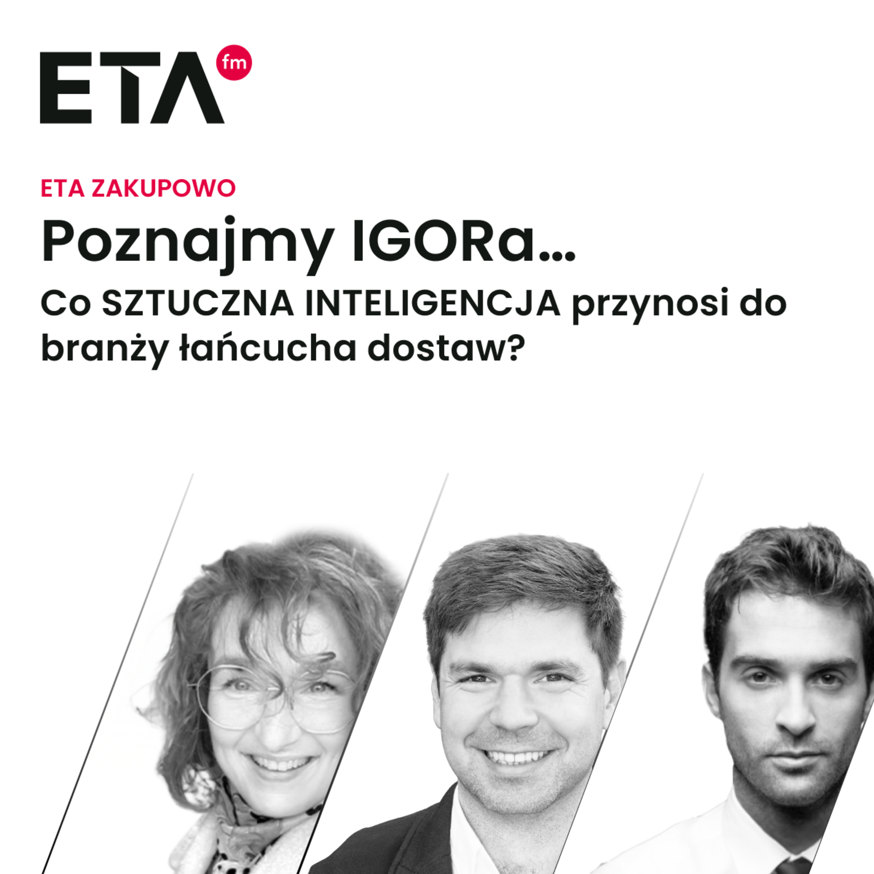 ETA WYWIAD - Poznajmy IGORa, Co SZTUCZNA INTELIGENCJA przynosi do branży łańcucha dostaw?   episode artwork