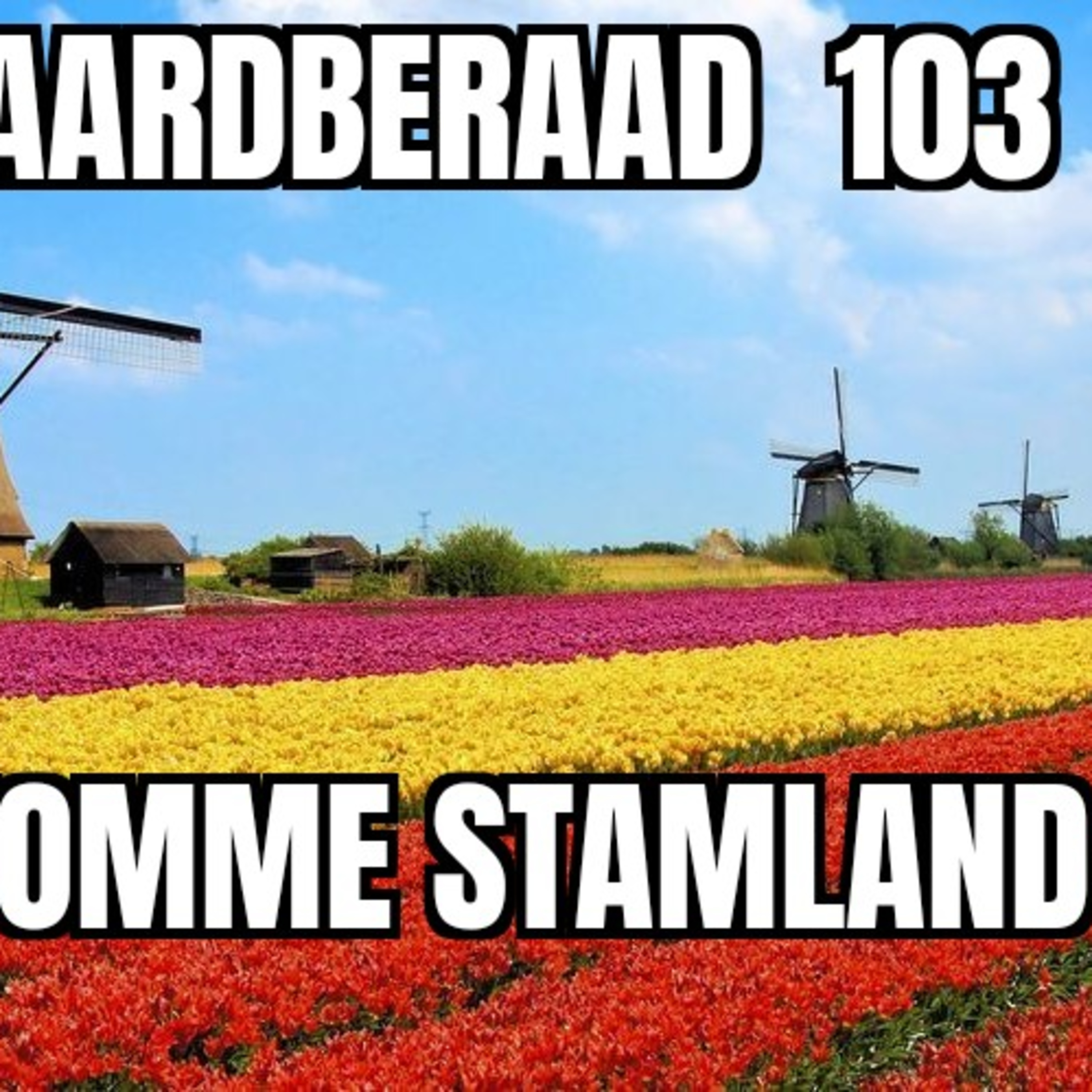 Baardberaad