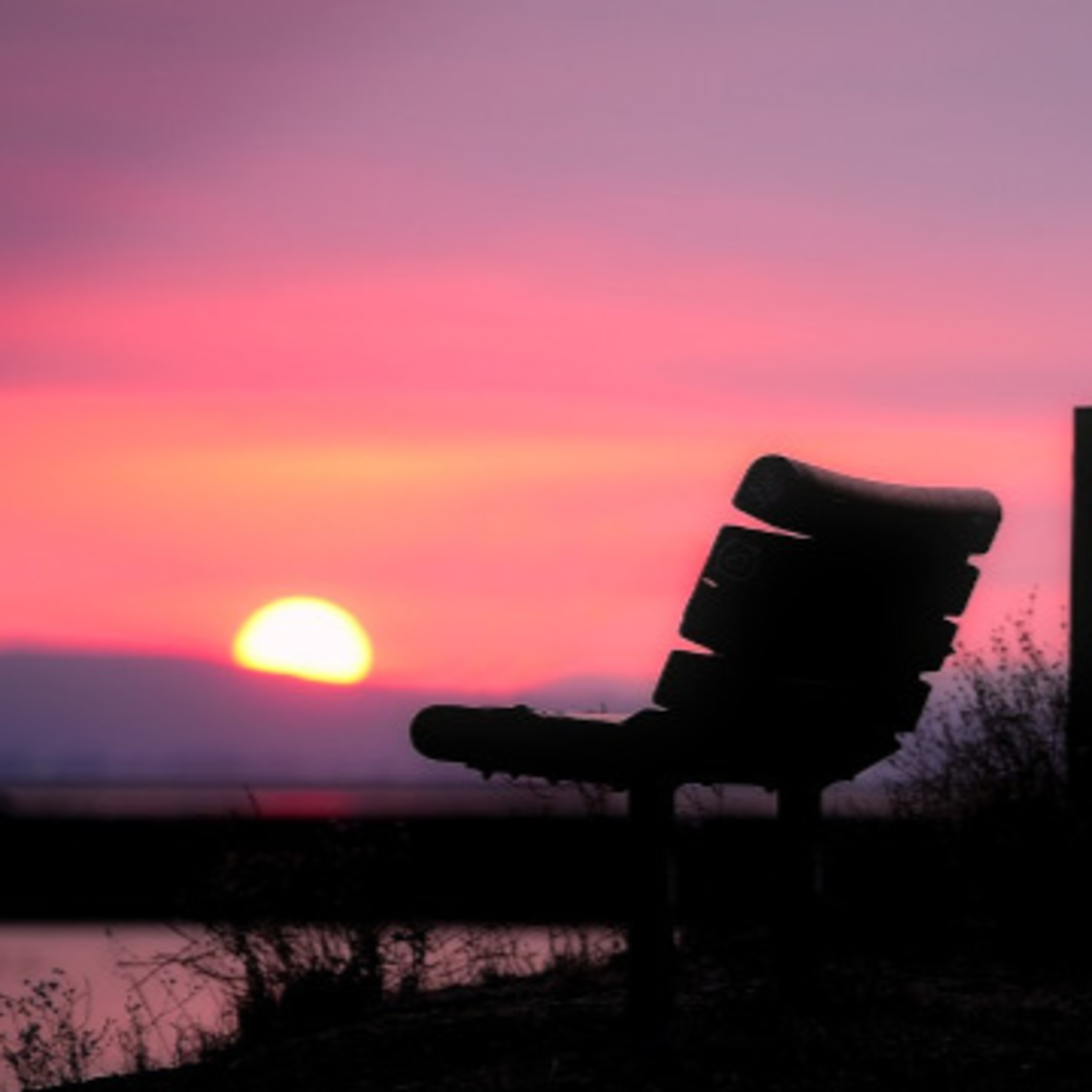 How Important Is Solitude for Your Well-Being? episode artwork