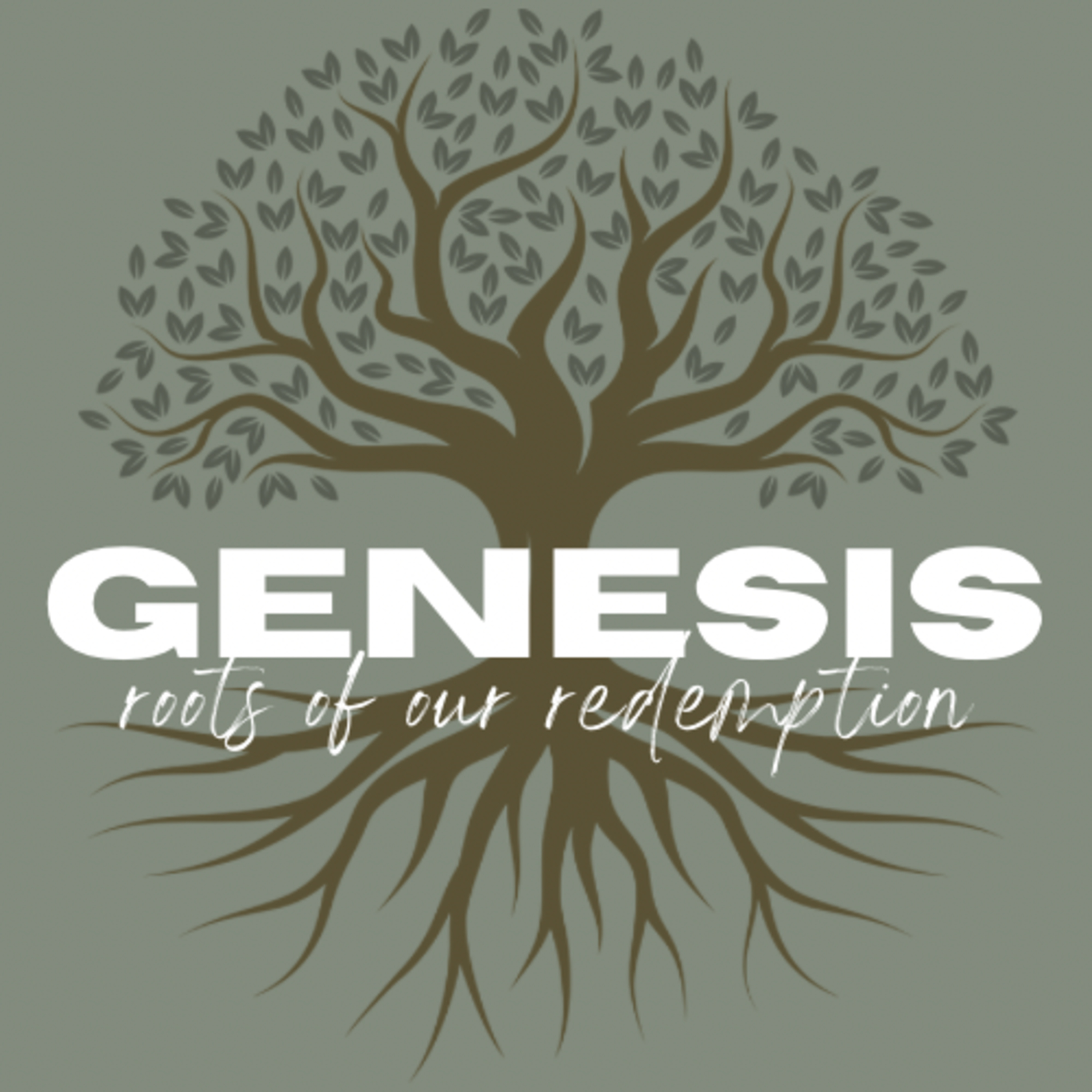 Cave Spring Baptist Church Sermons