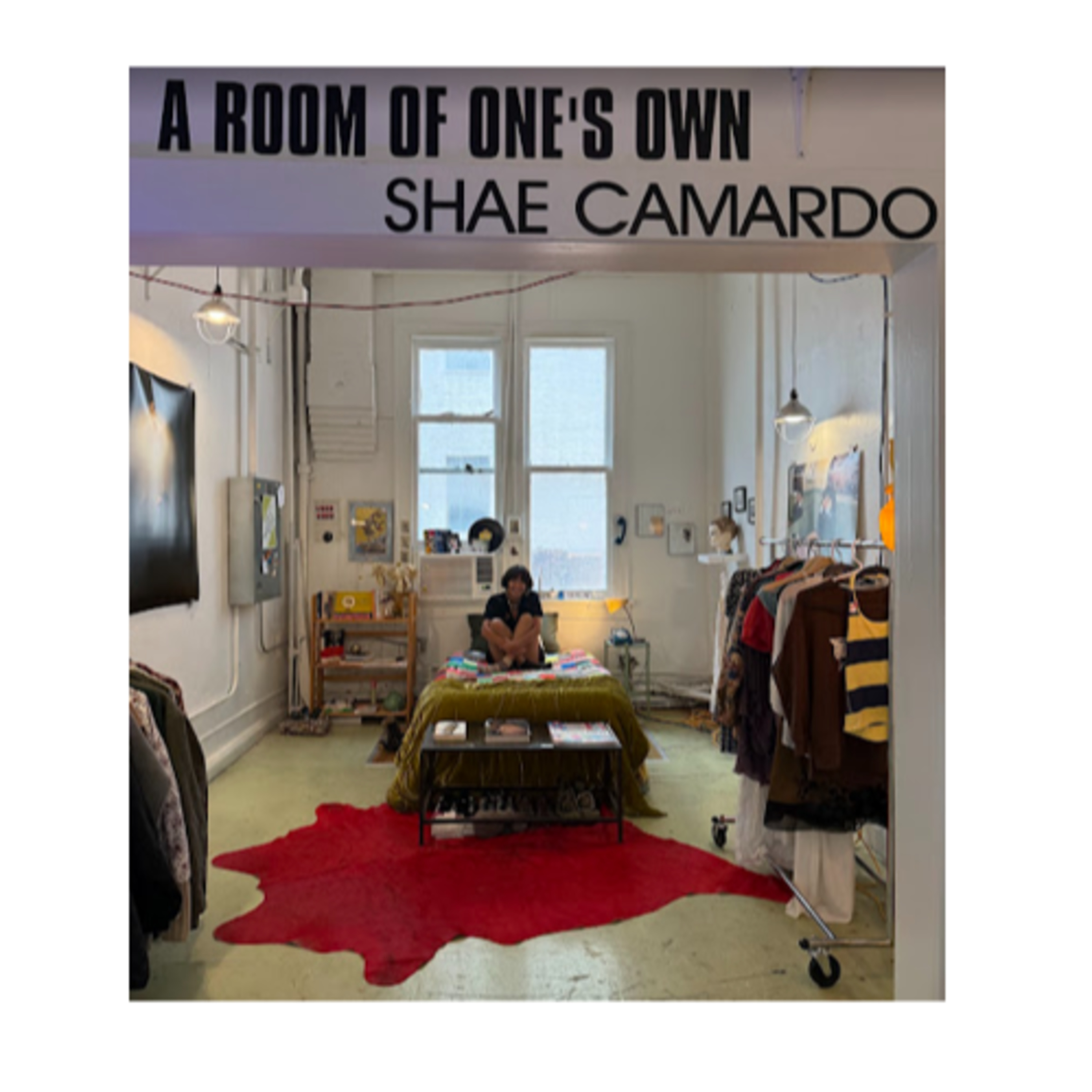 A conversation with installation artist Shae Camardo