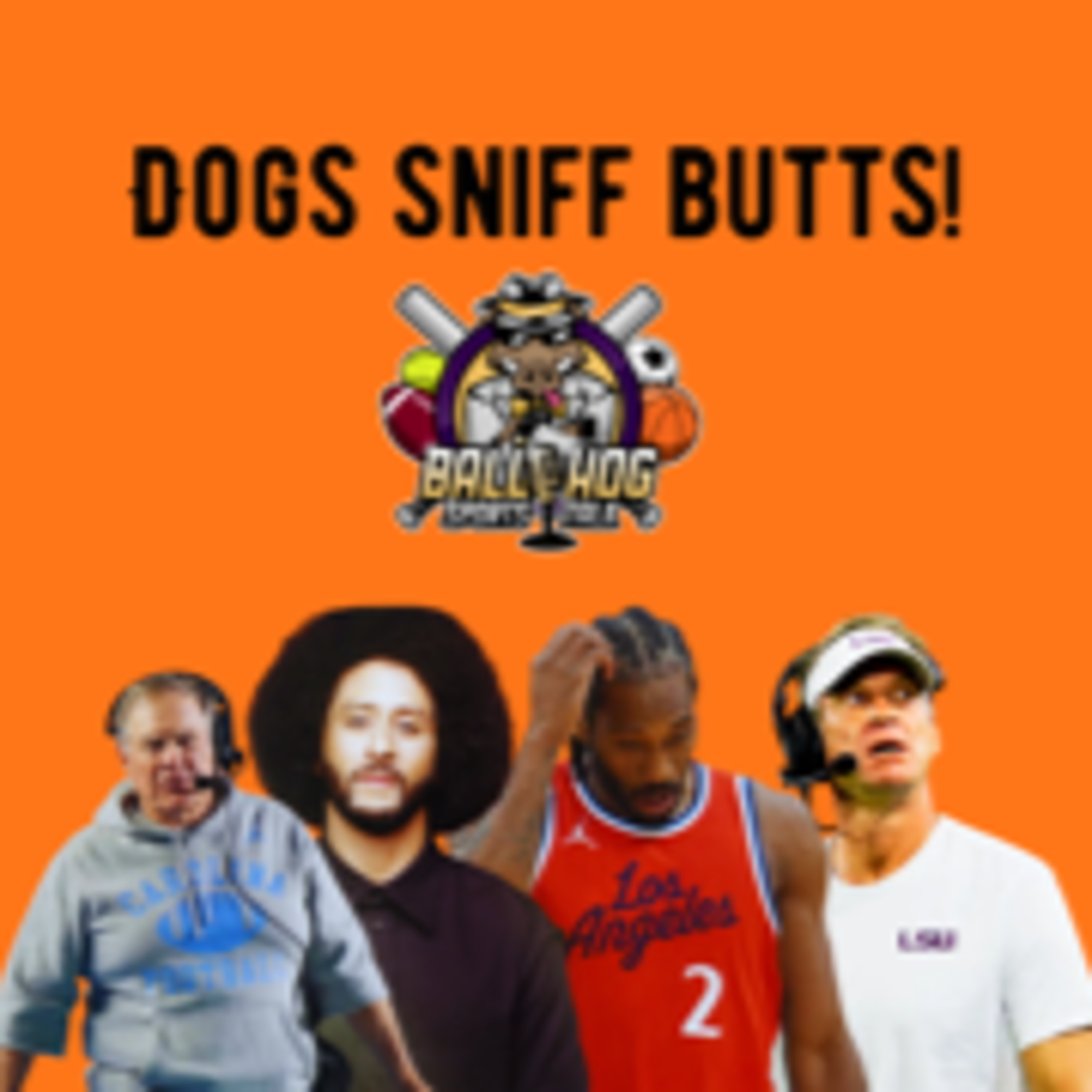 Dogs Sniff Butts! episode artwork