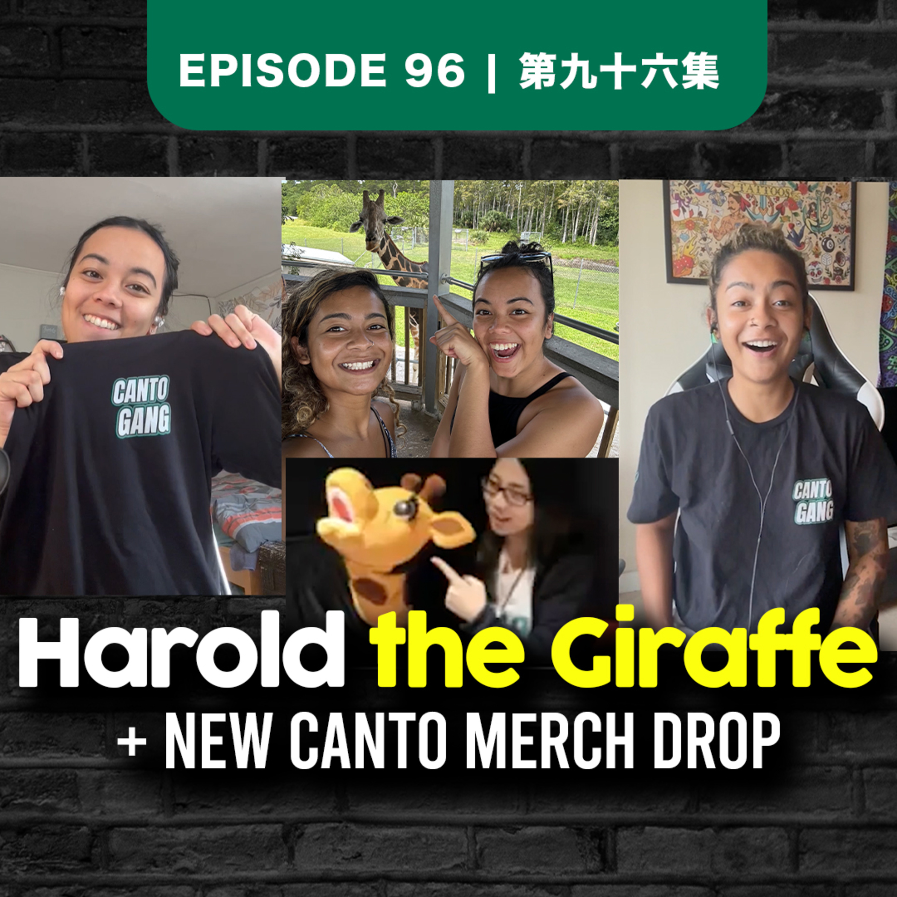 Harold the Giraffe at a Florida Drive Thru Safari | EP96 #safari #canto episode artwork