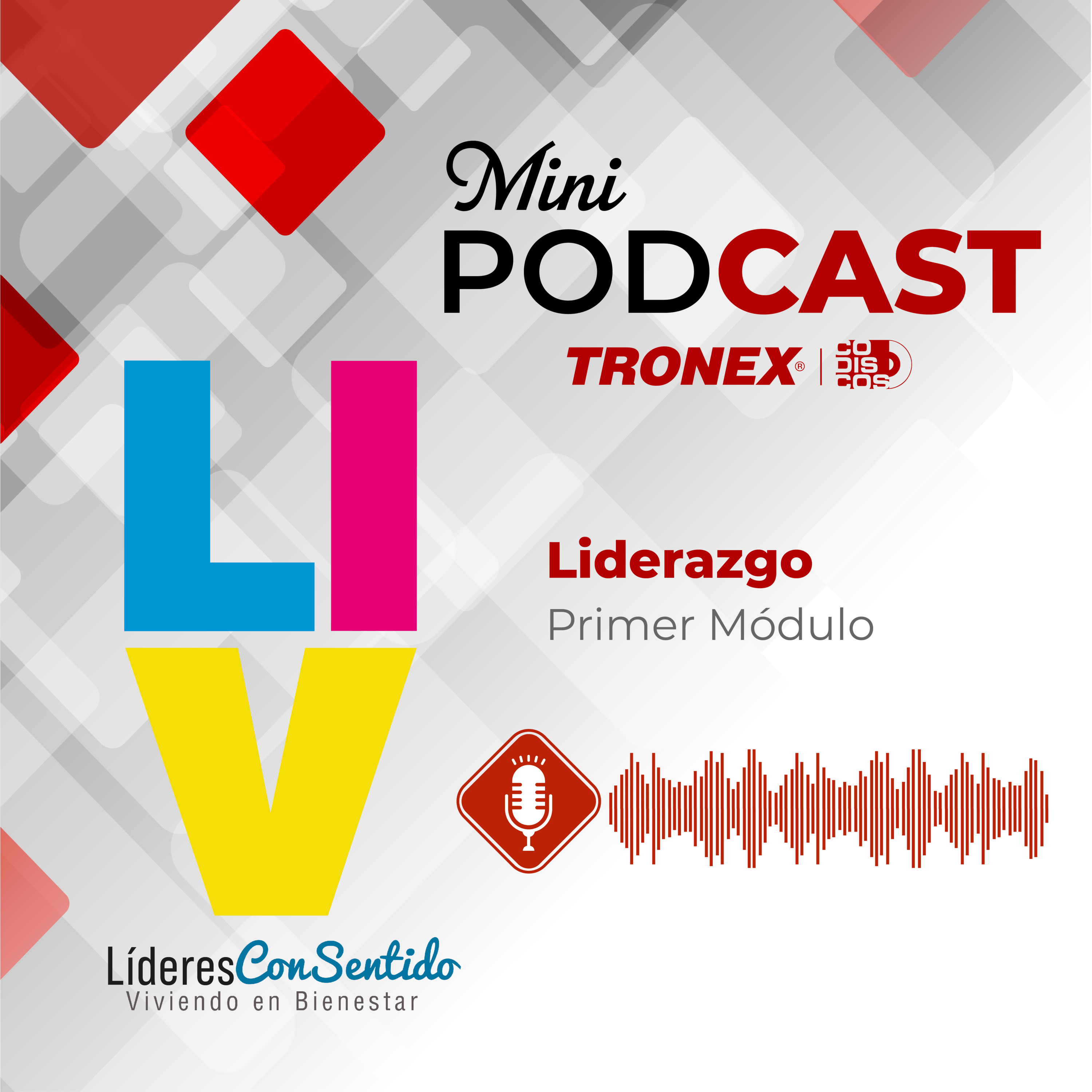Liderazgo - Primer Módulo  episode artwork