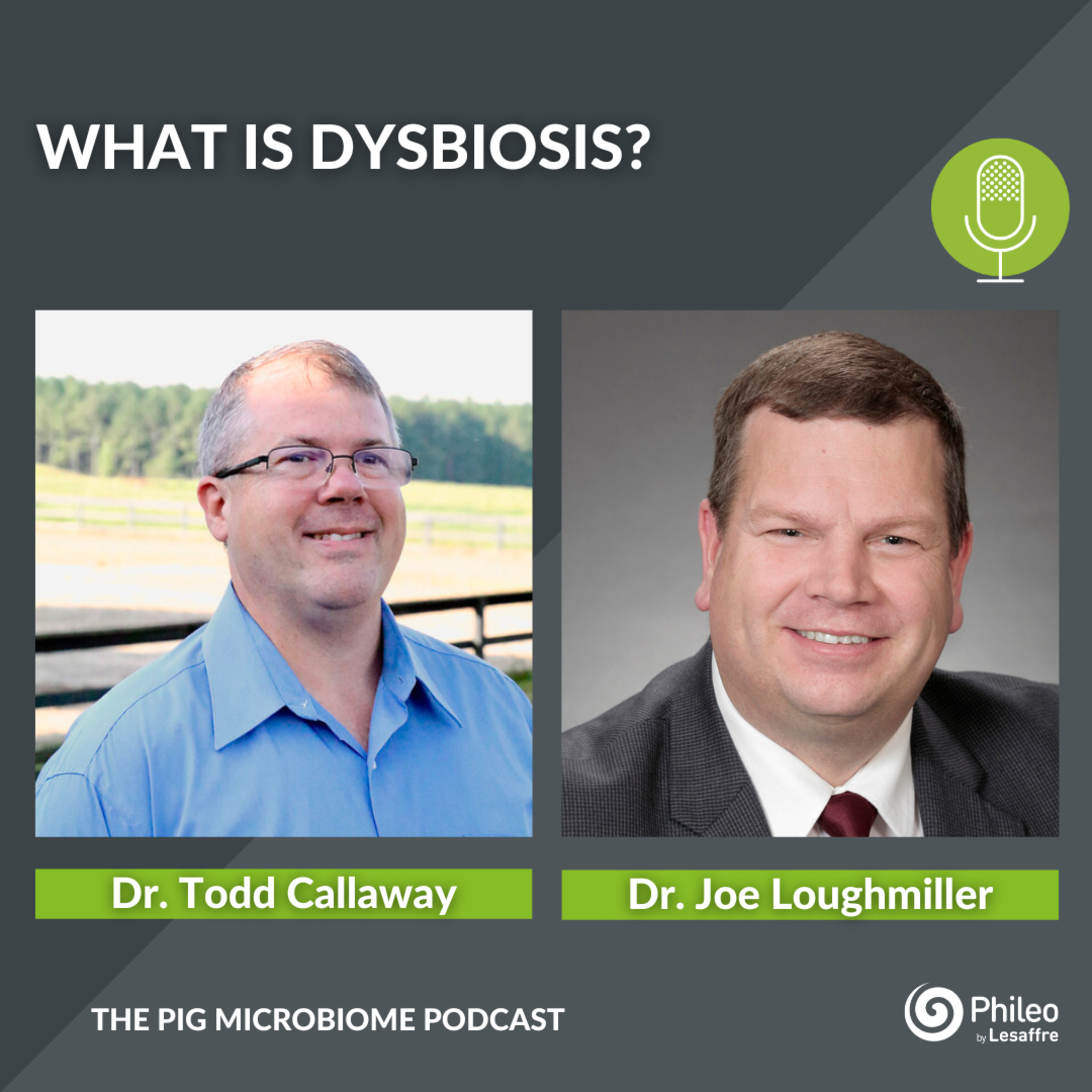 The Pig Microbiome Podcast