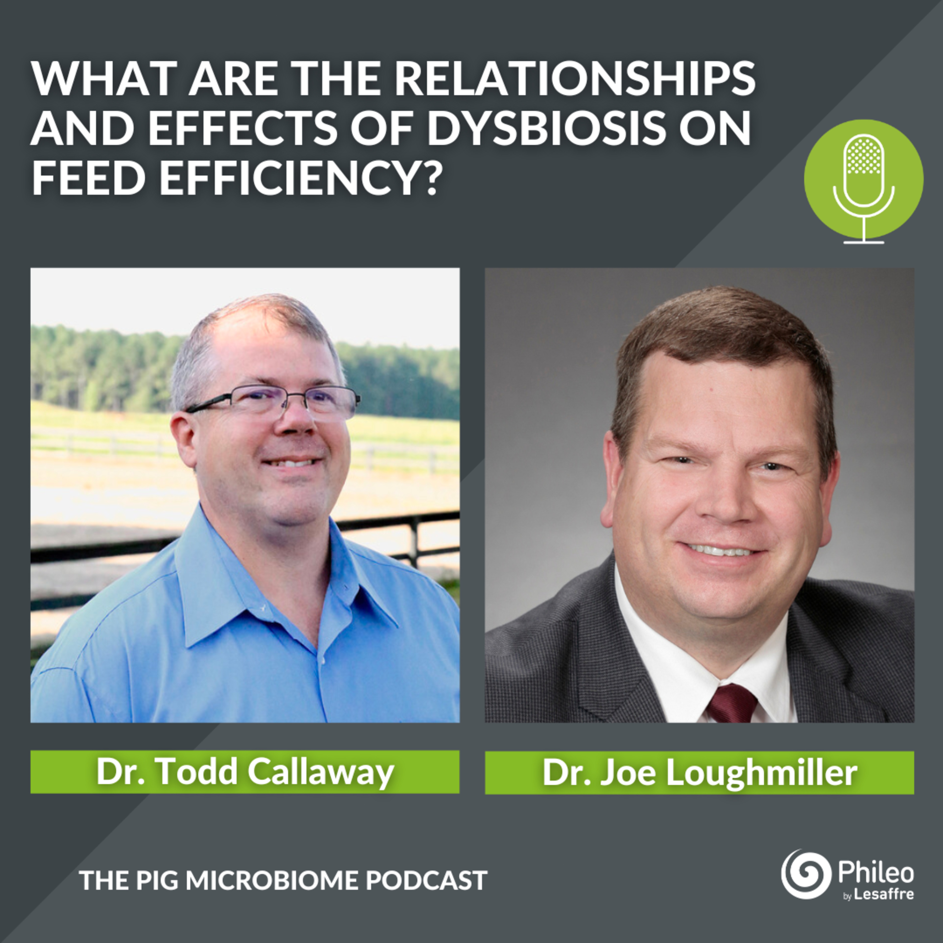 The Pig Microbiome Podcast