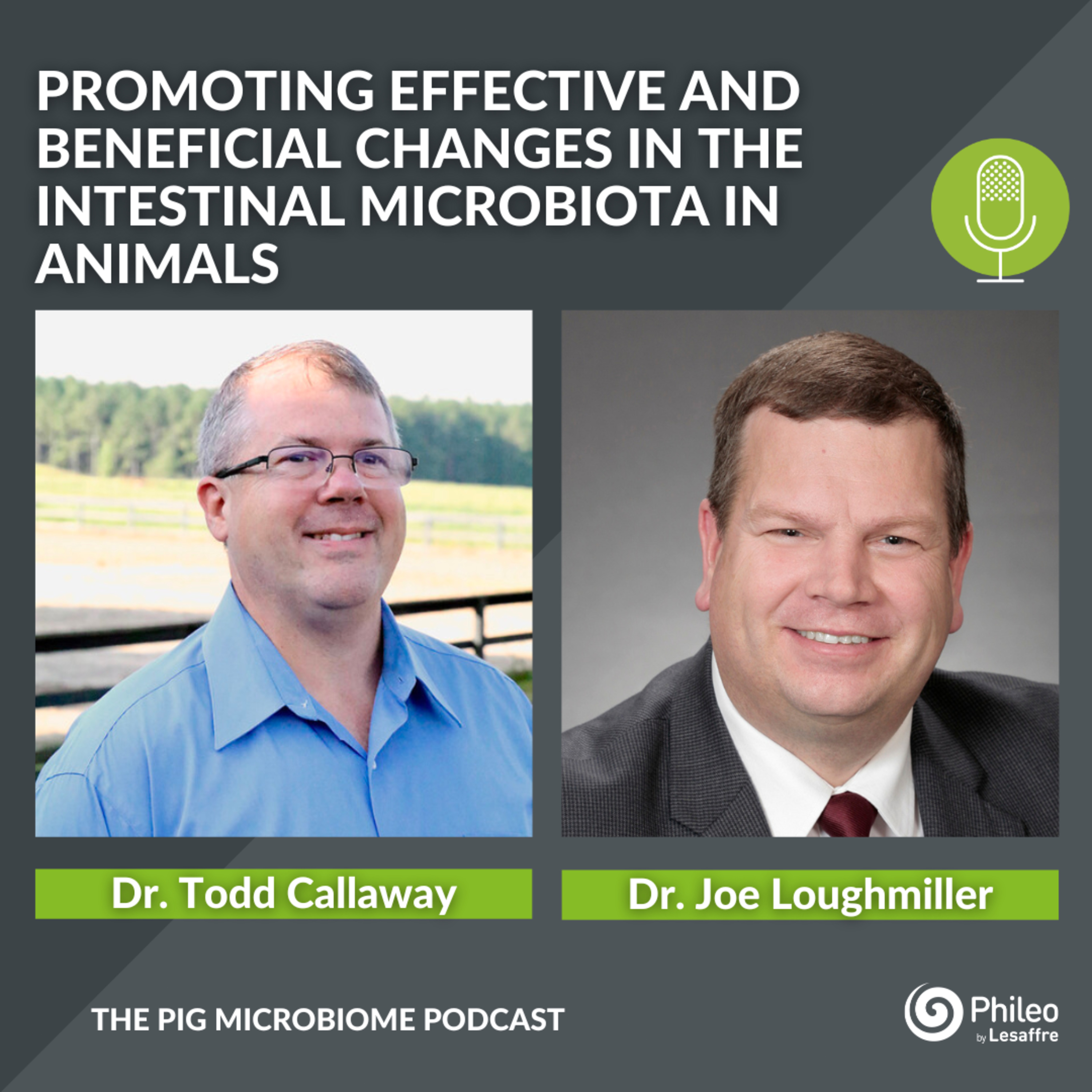 The Pig Microbiome Podcast