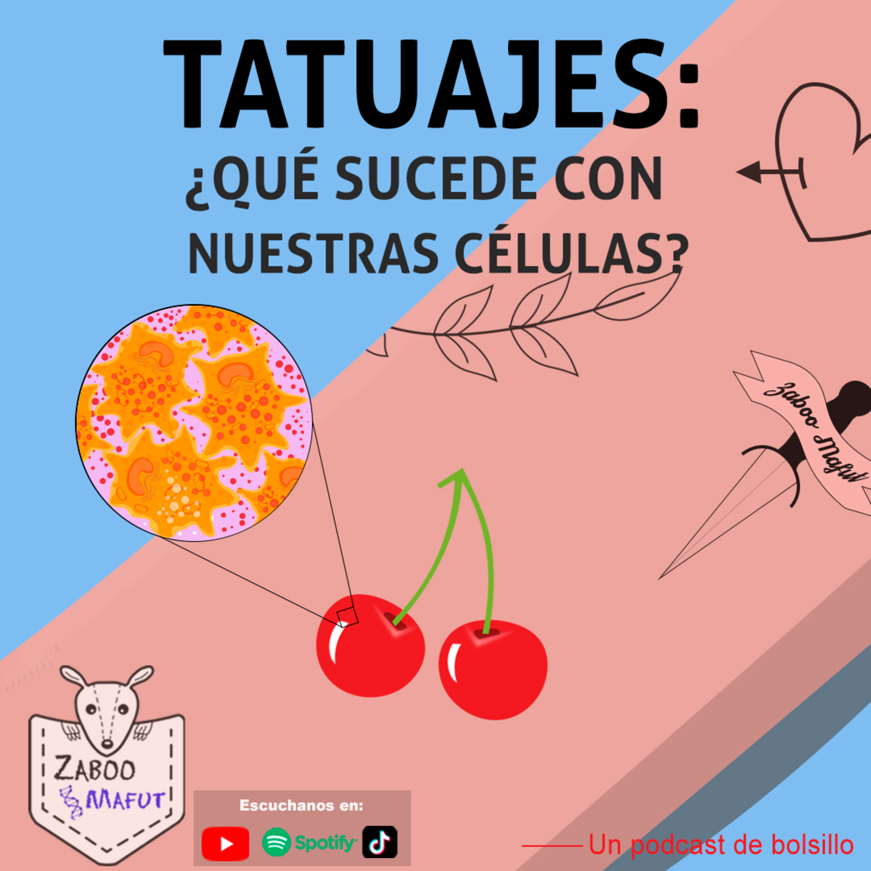 Tatuajes. ¿Qué sucede con nuestras células? episode artwork