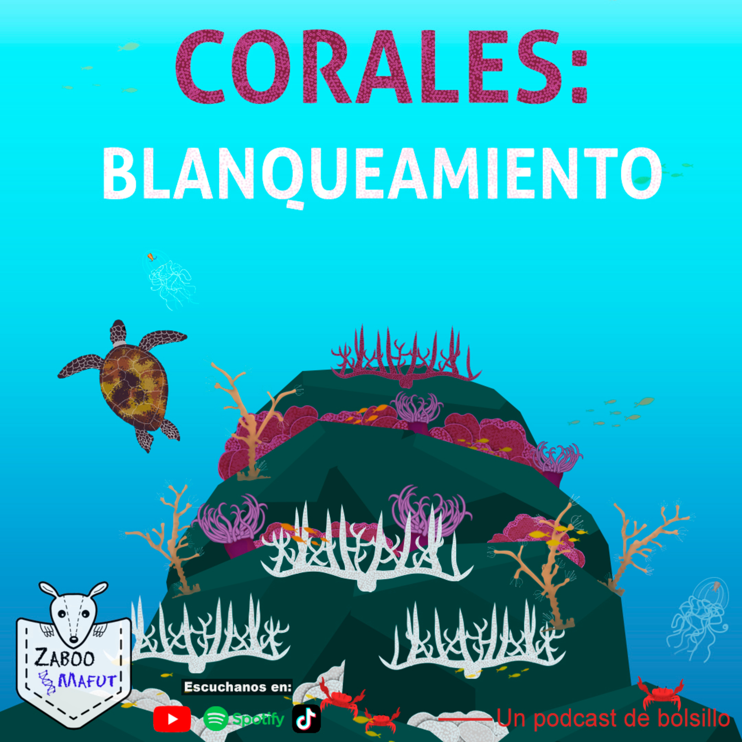 Los corales se blanquean. episode artwork