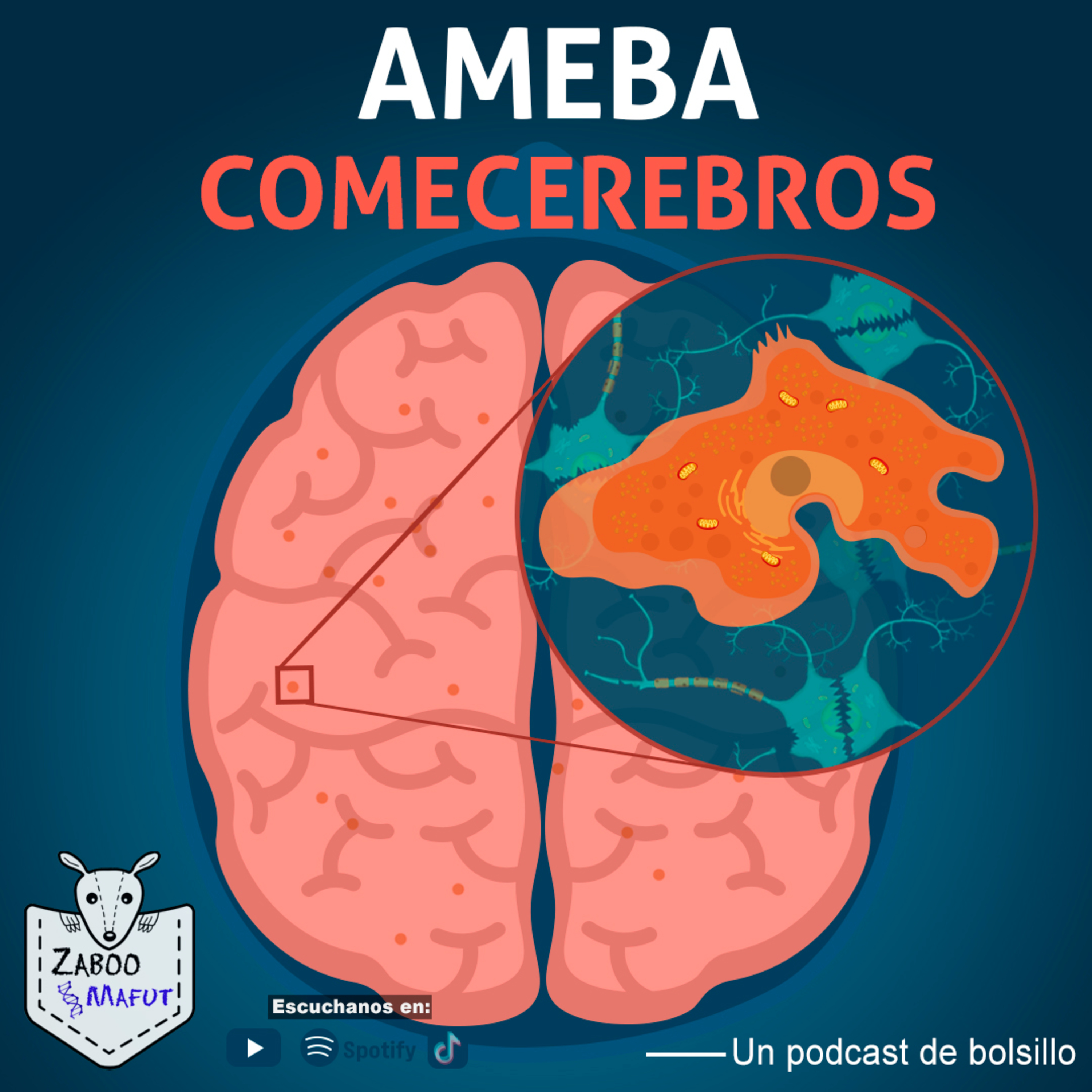 Ameba comecerebros. episode artwork