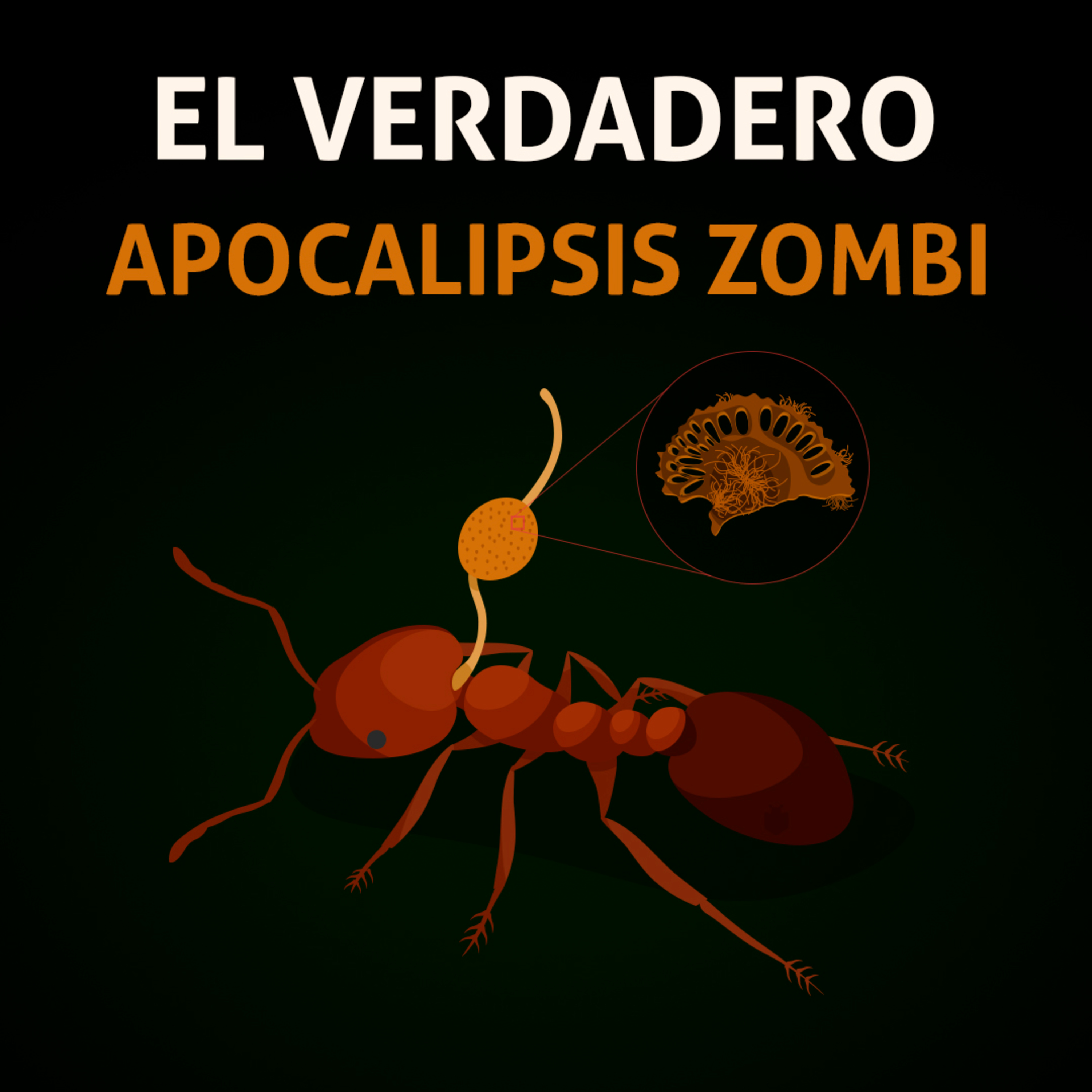 El verdadero apocalipsis zombi.