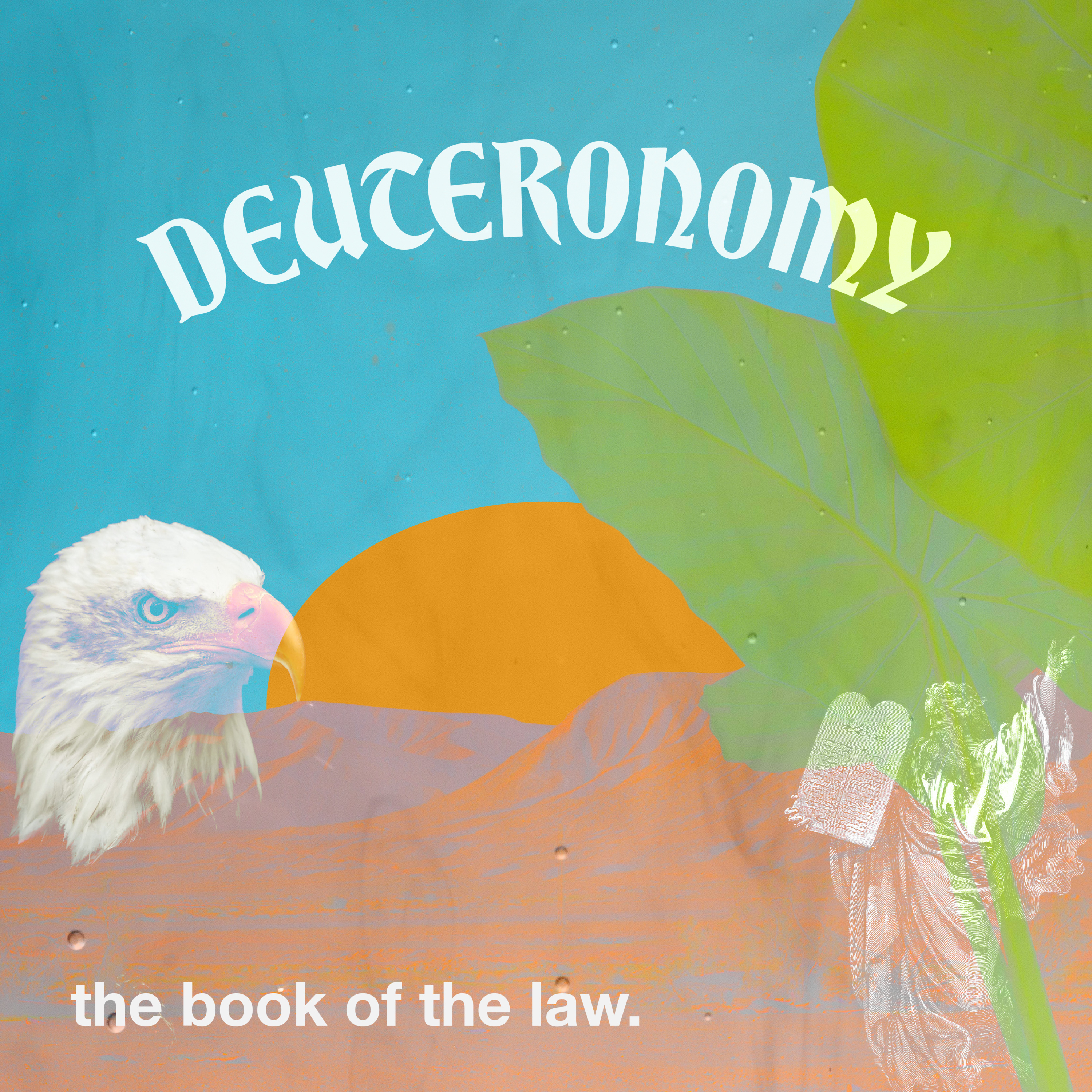 Deuteronomy Part 10: Chapters 12 - 13 episode artwork