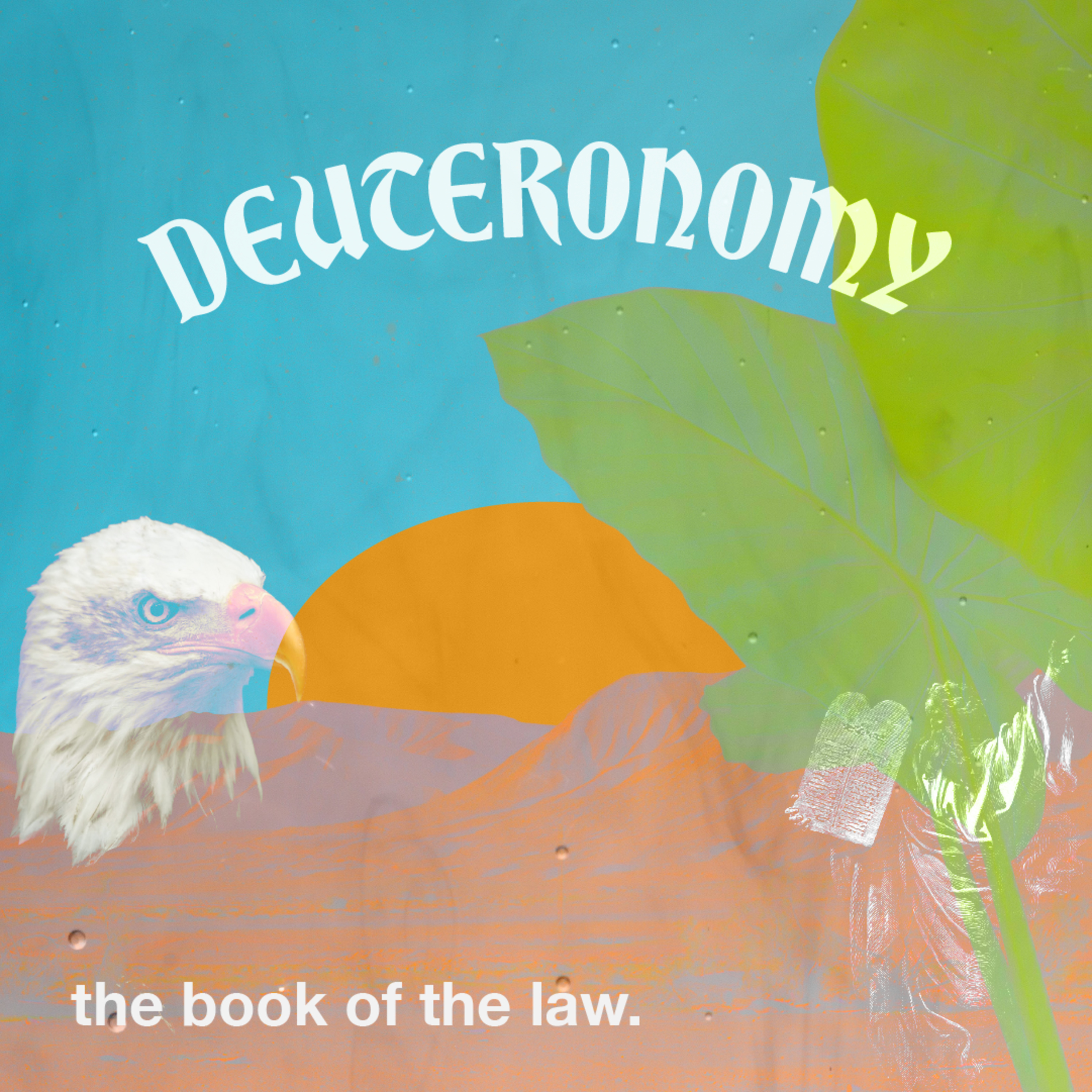 Deuteronomy Part 20: The Closing Chapters episode artwork