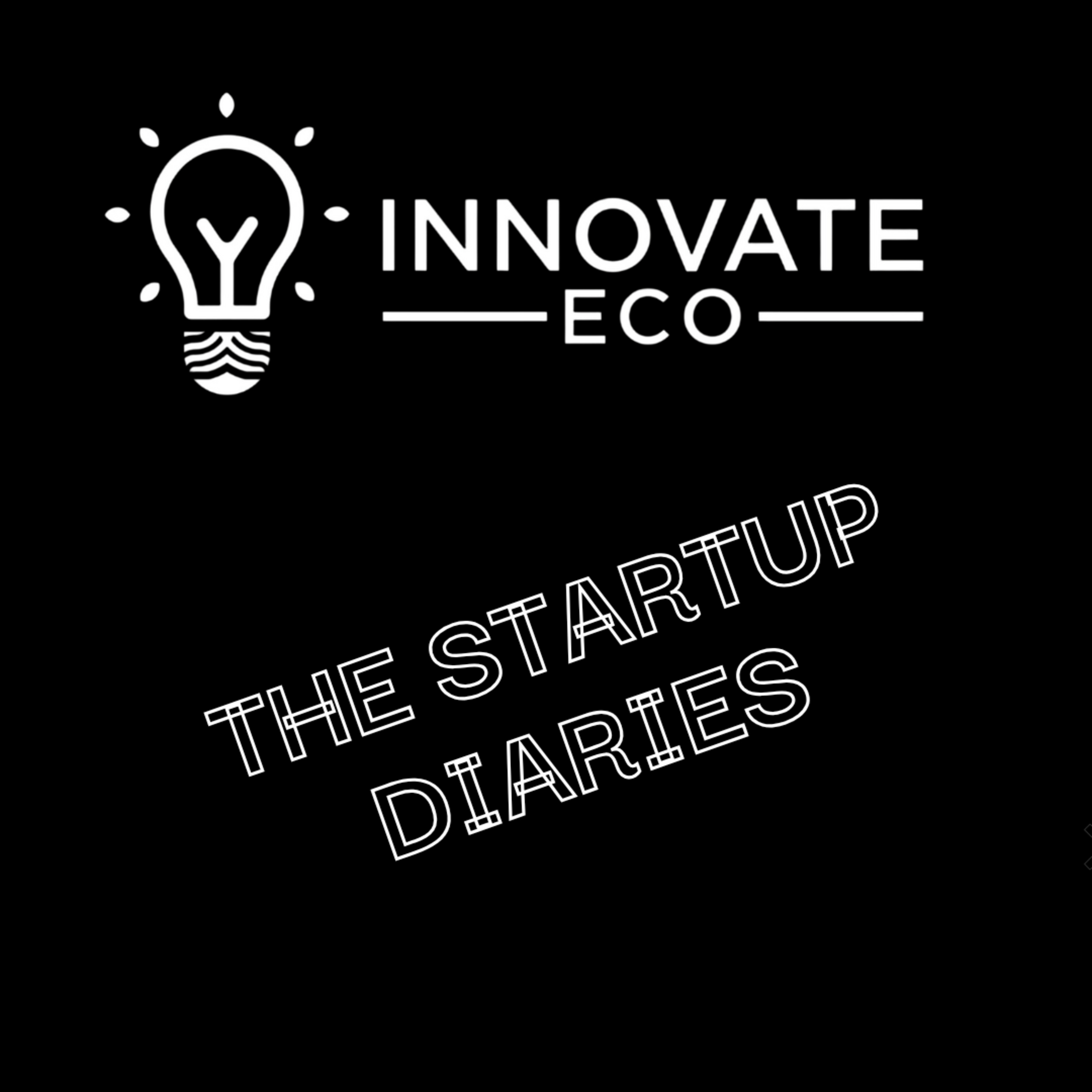 The Startup Diaries (Ep.1) - Introducing the Business and Co-Founder