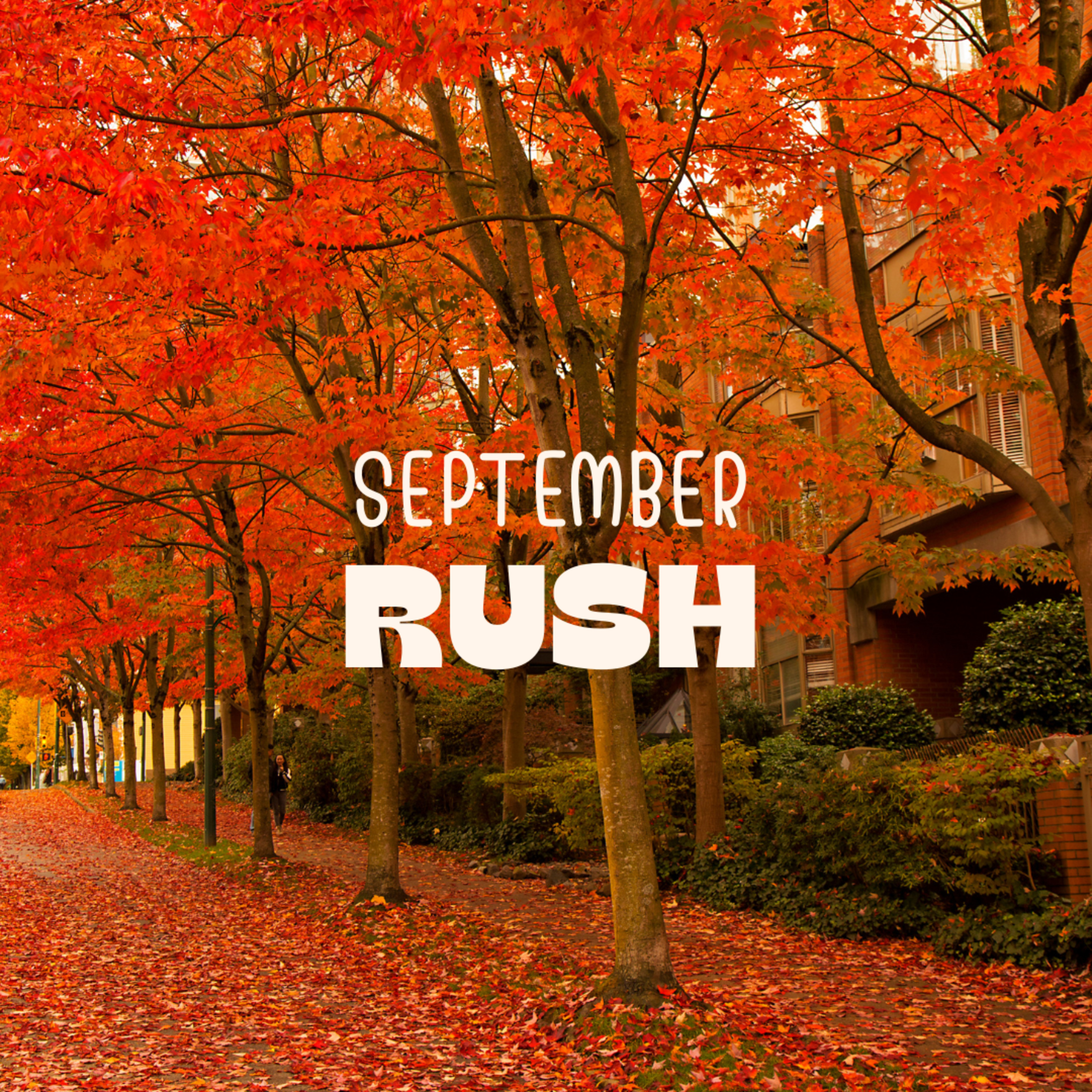 September Rush