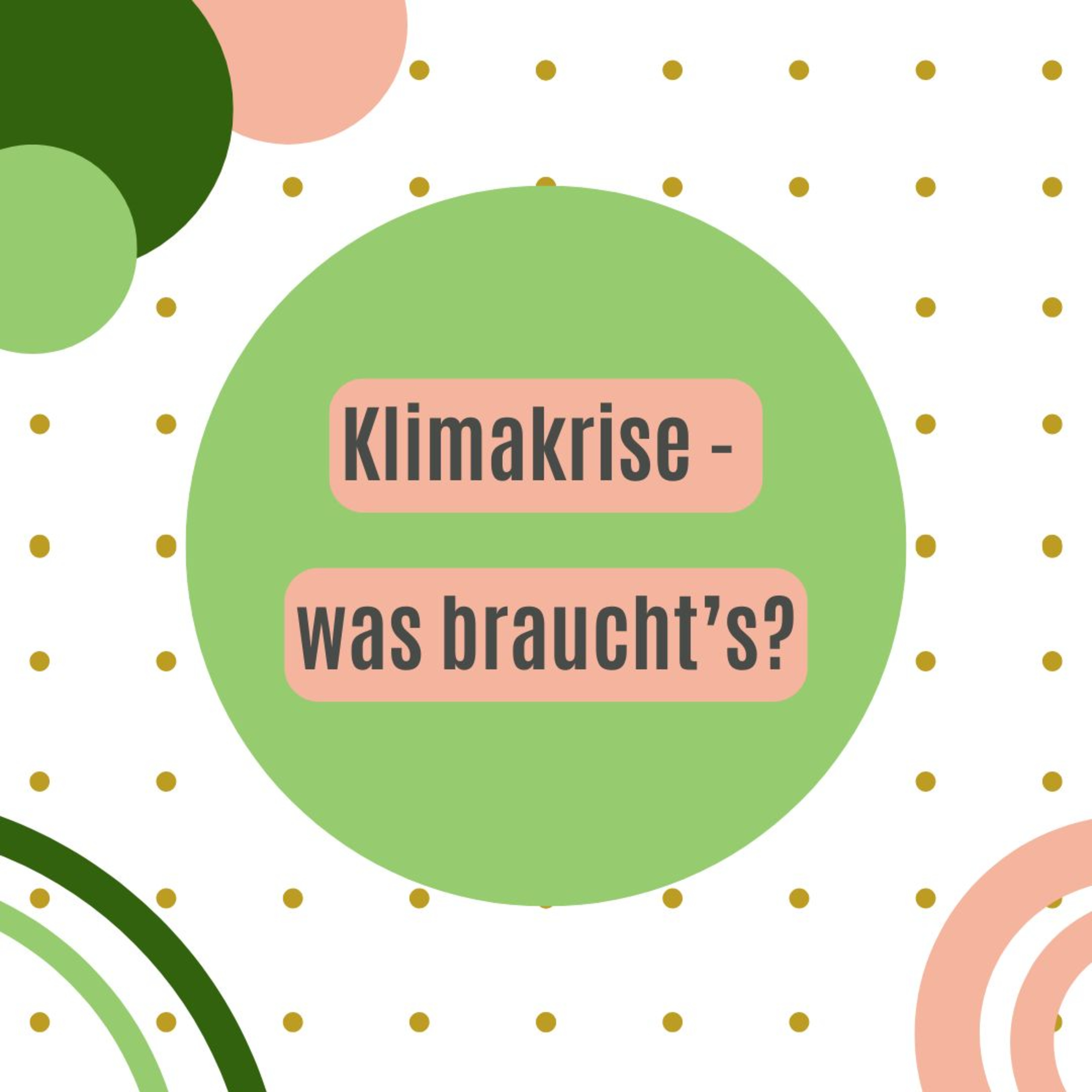 Klimakrise - was braucht´s? episode artwork