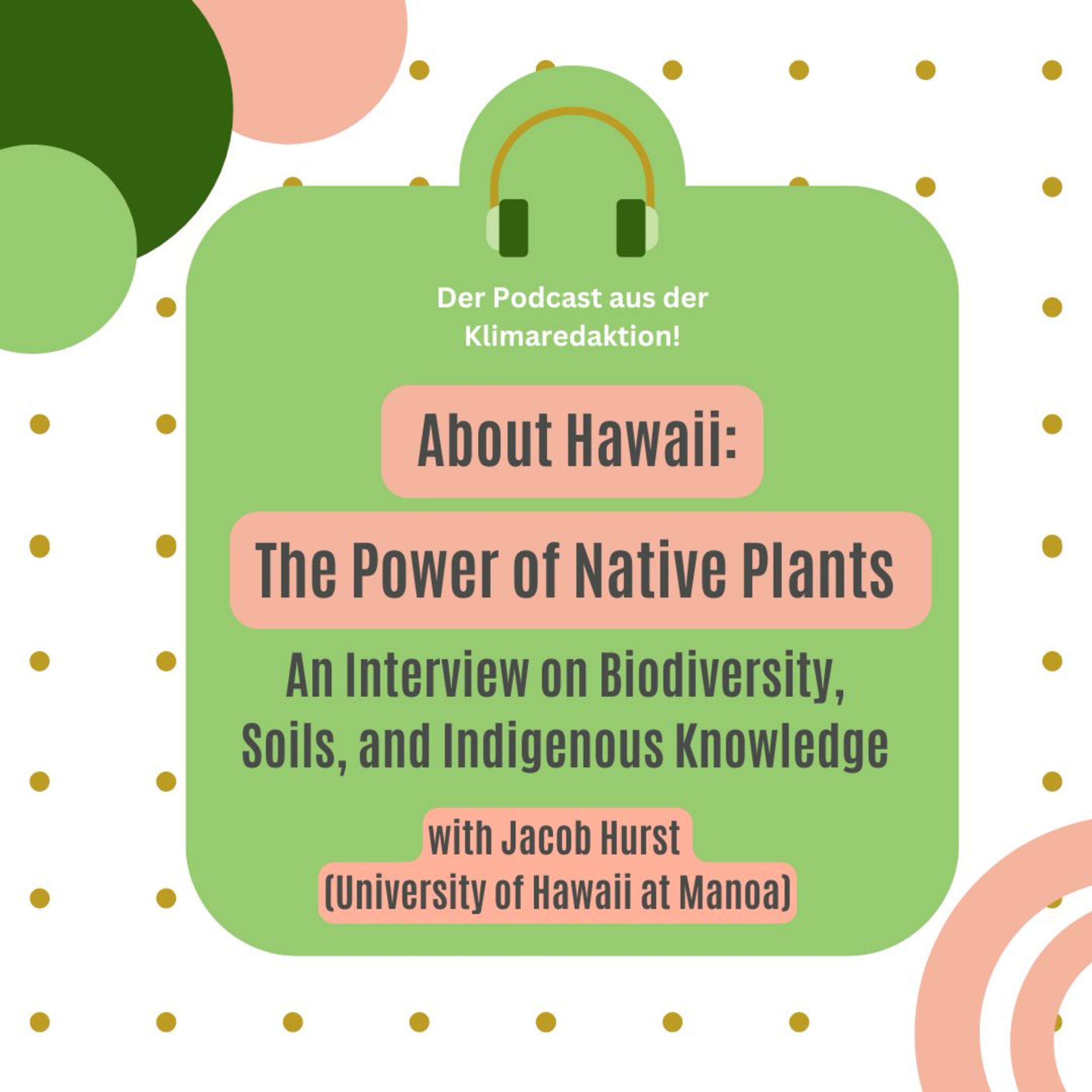 About Hawaii: The Power of Native Plants – An Interview on Biodiversity, Soils, and Indigenous Knowledge episode artwork