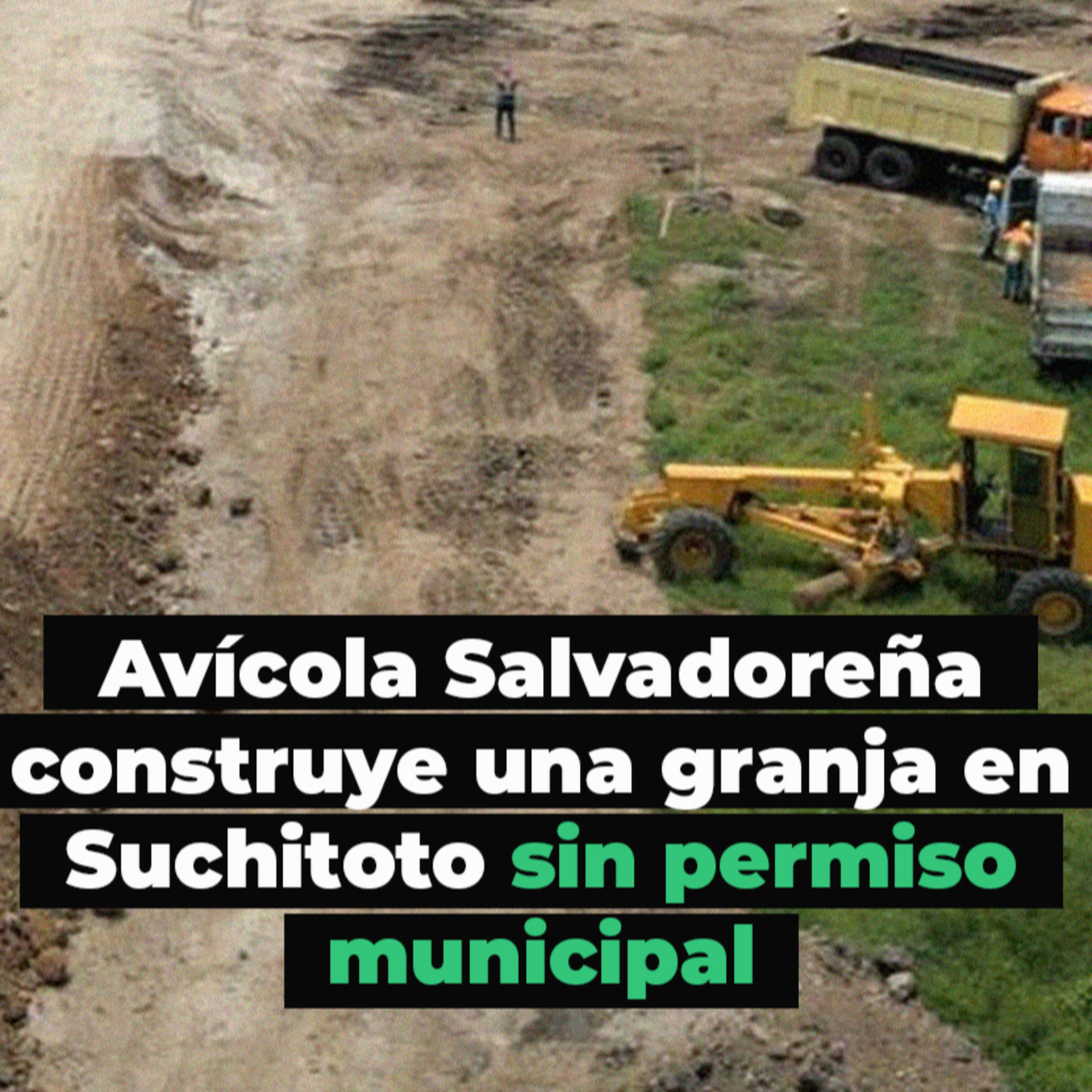 GatoEncerradoSV