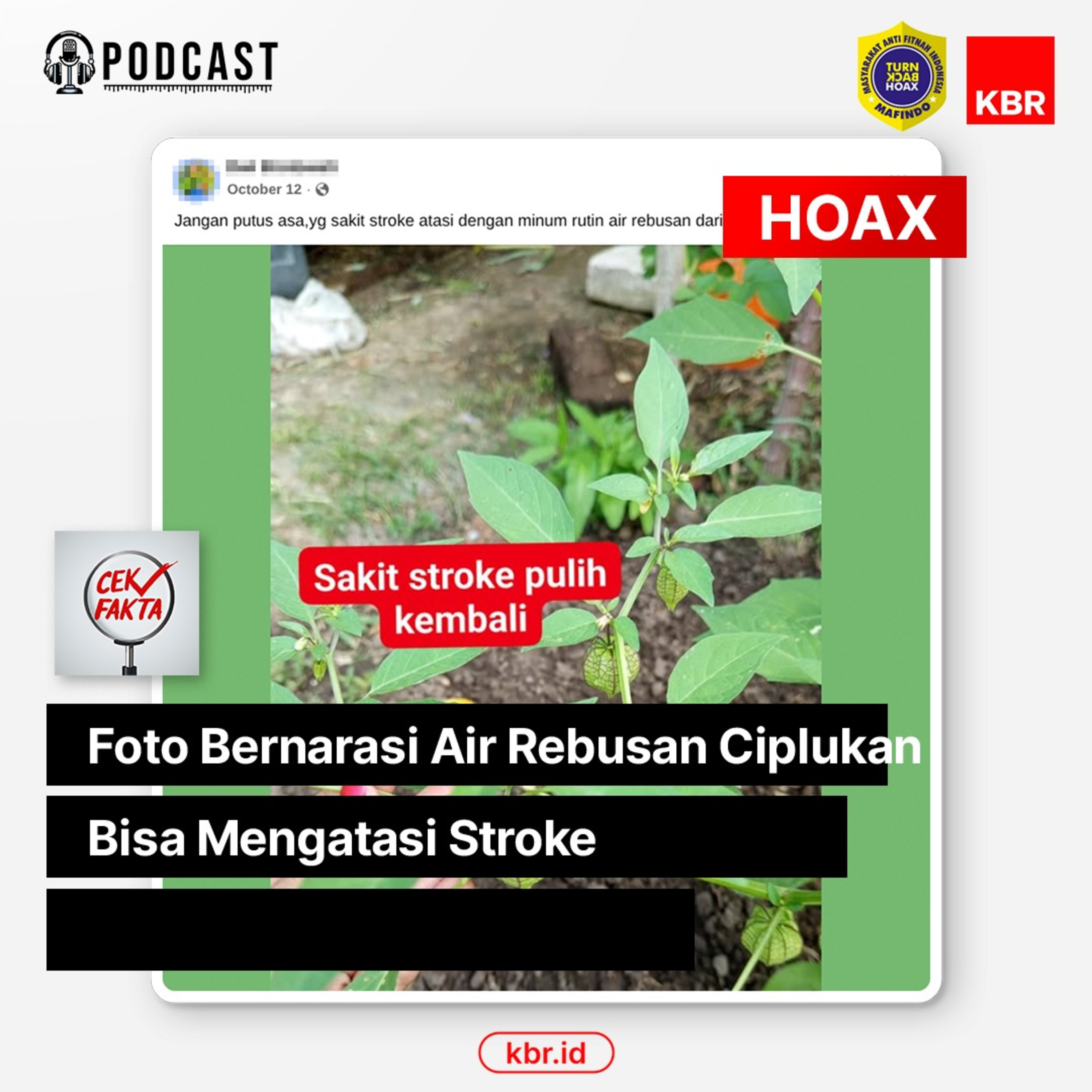 Foto Bernarasi Air Rebusan Ciplukan Bisa Mengatasi Stroke episode artwork