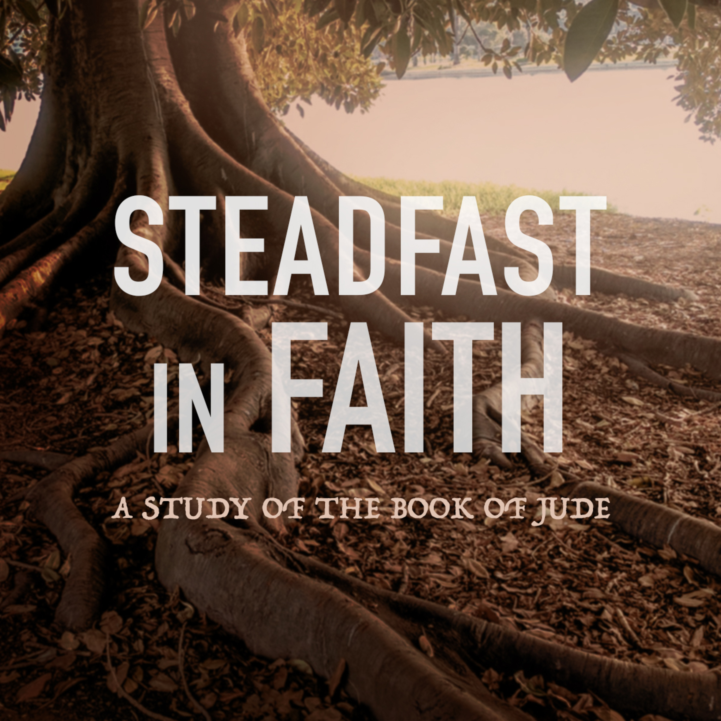 White Fields Community Church | A Christian Church in Longmont, Colorado